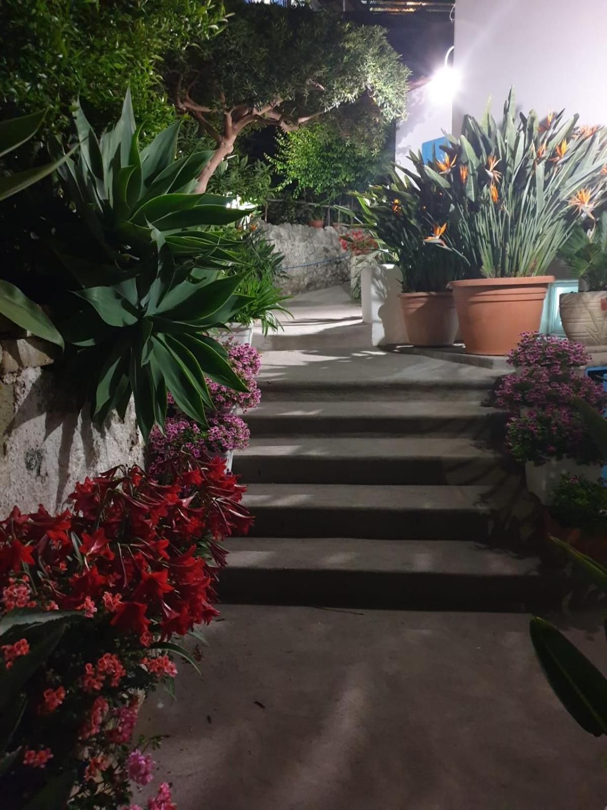 Villa Loreta