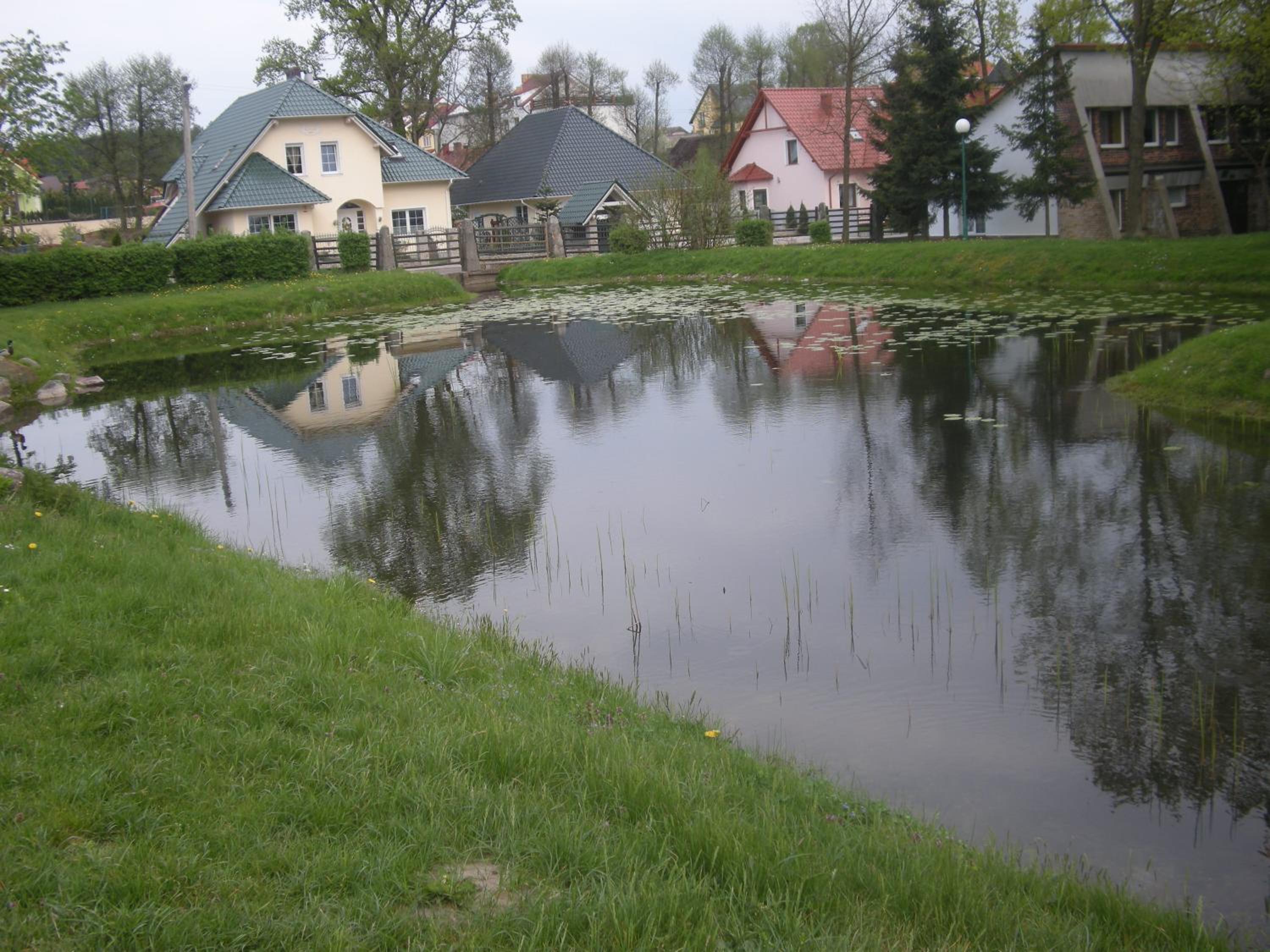 Photo 45