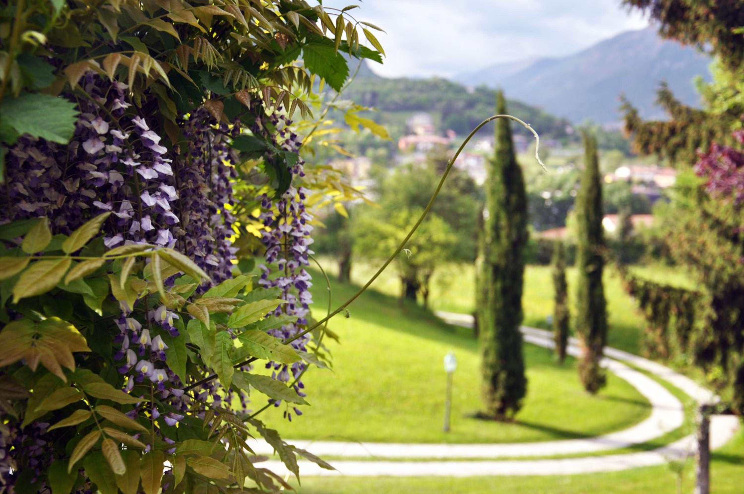 Casa vacanze Il Noce photo 5