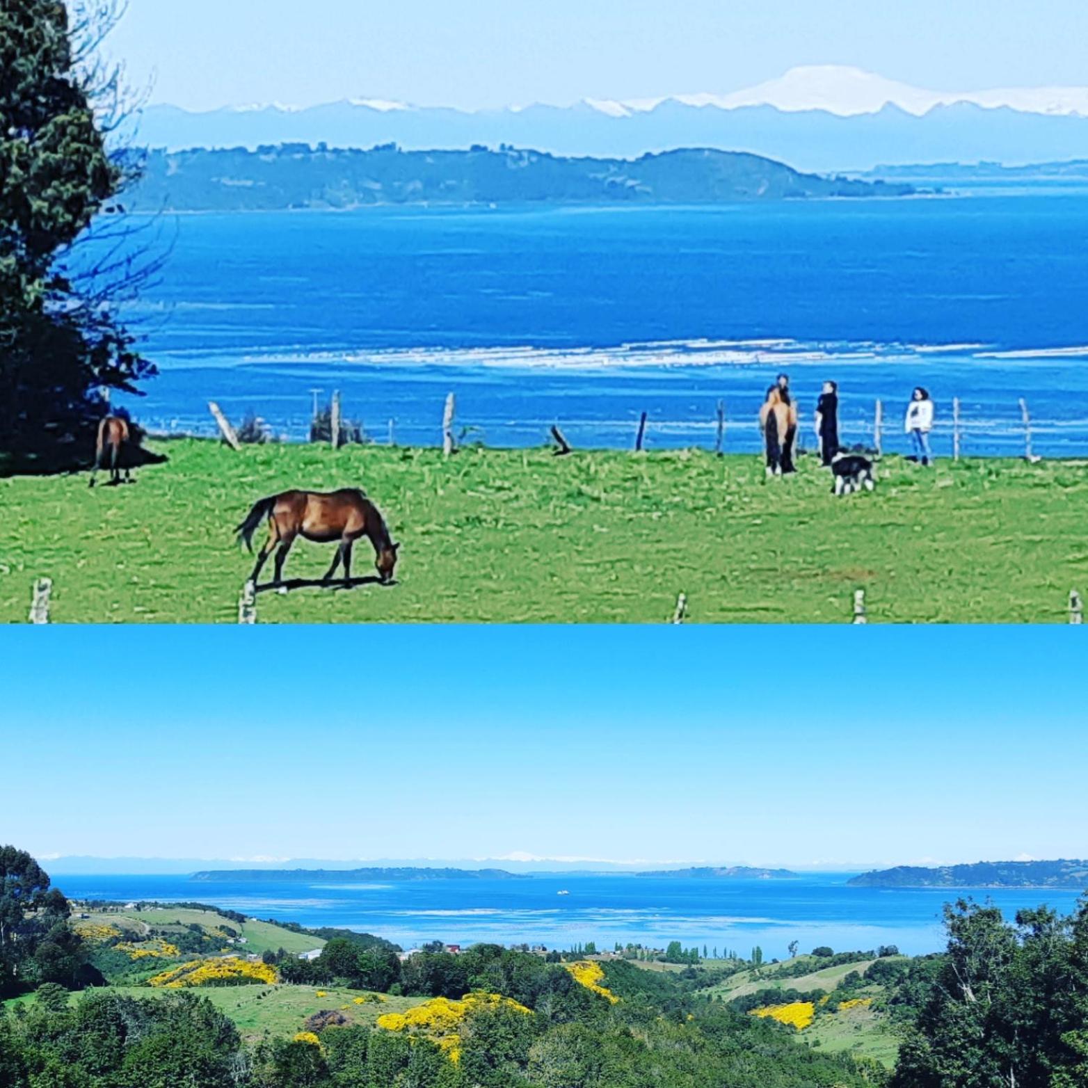 Cabaña Quiquel, Dalcahue, Chiloe