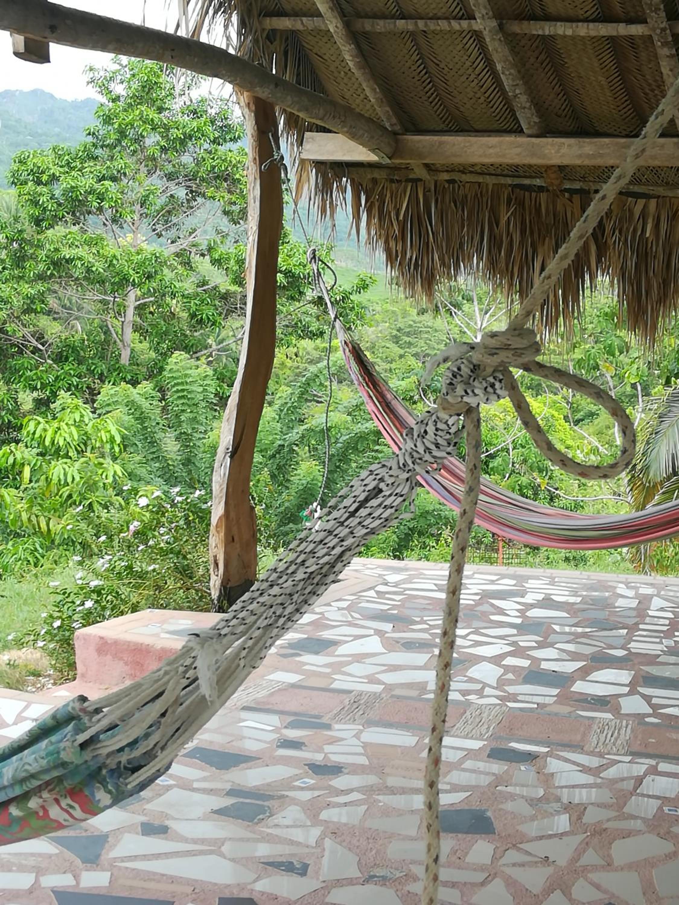Entre Bosques Tayrona