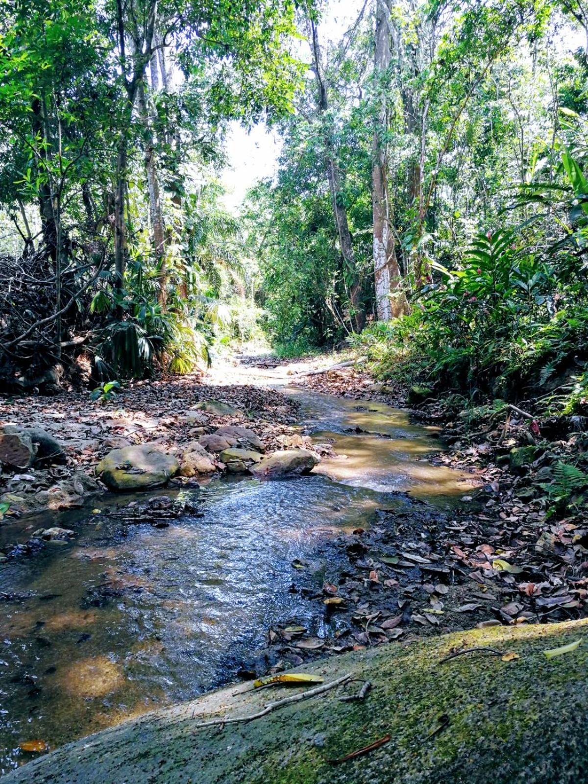 Entre Bosques Tayrona