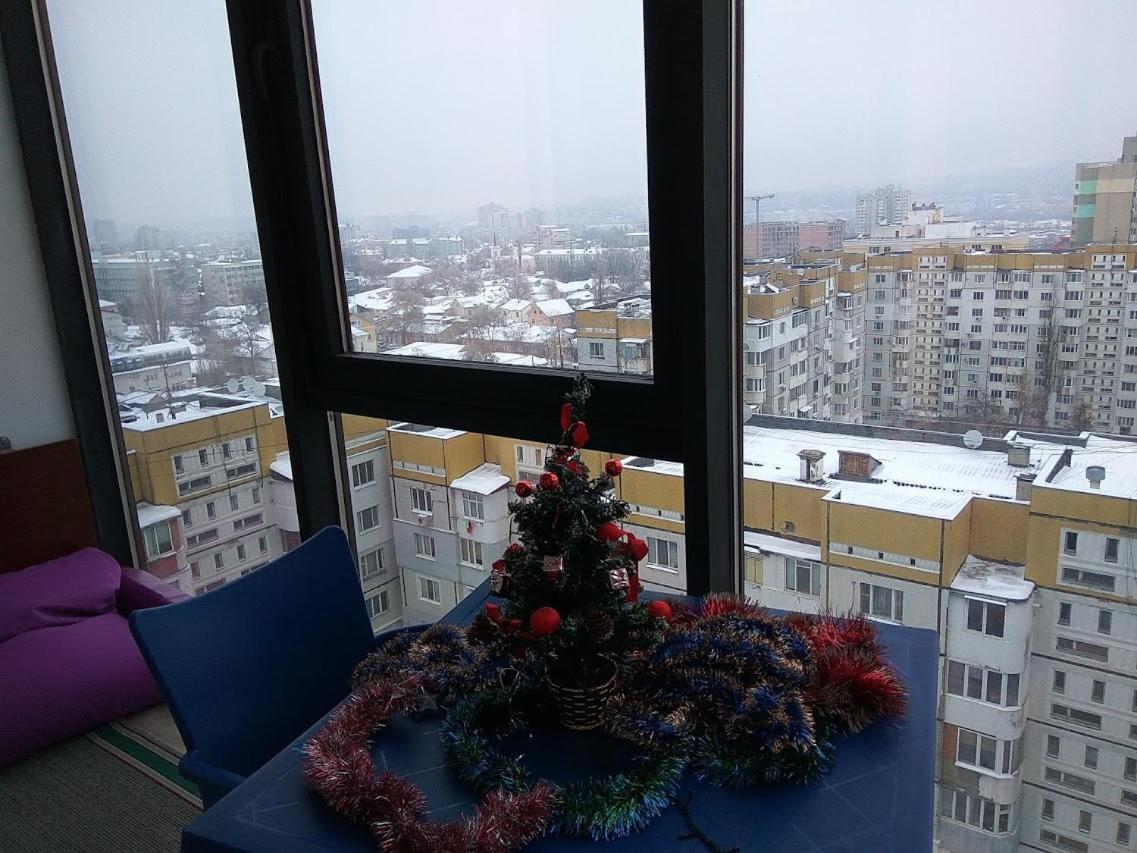 Photo 43