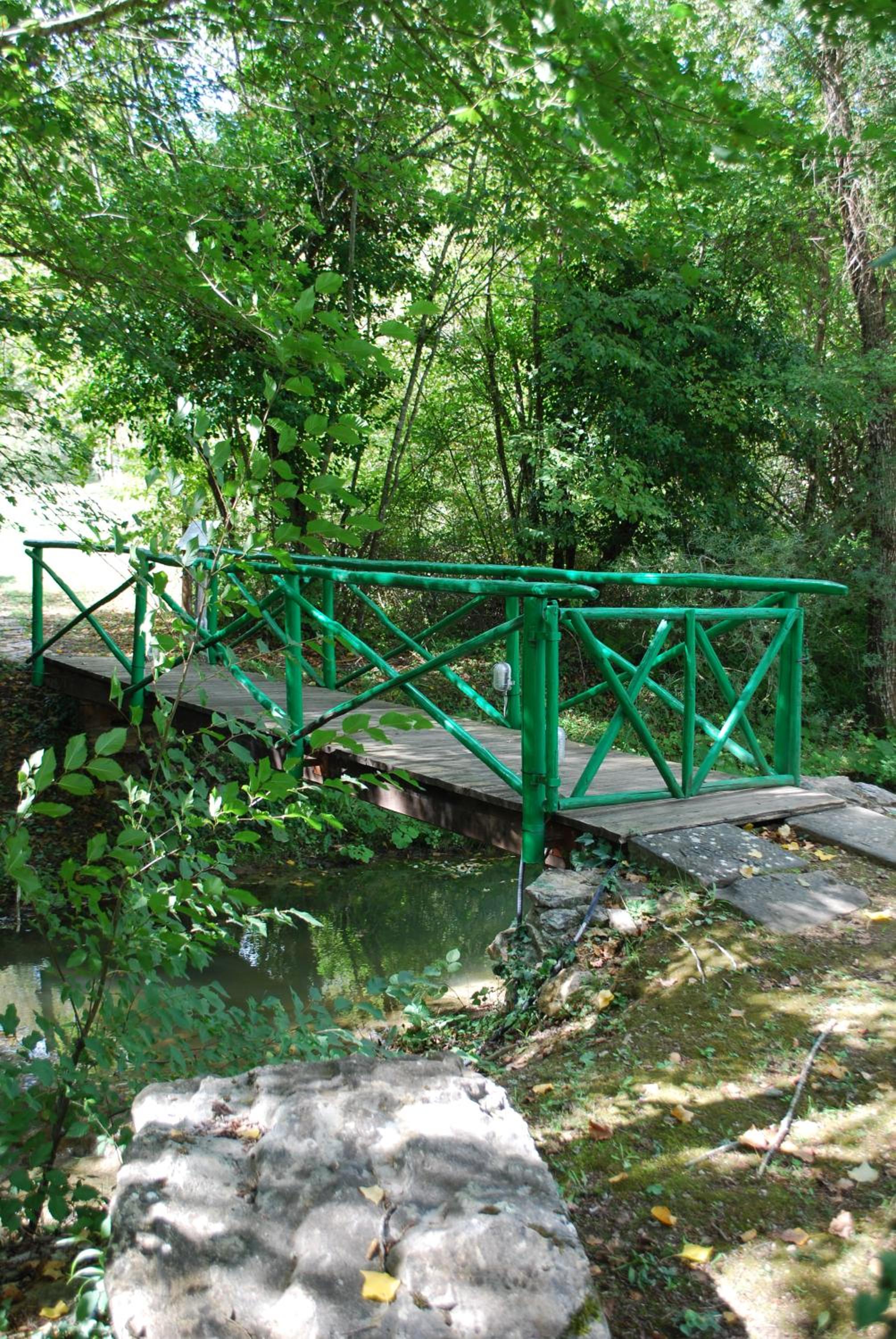 Photo 31