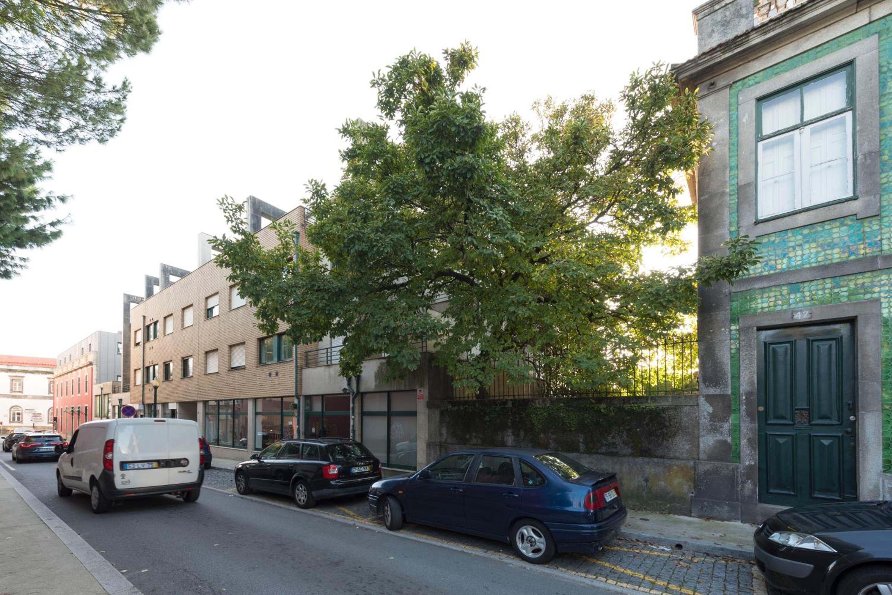 LovelyStay - Homey Feeling Flat w/ Free Parking view 3