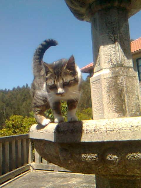 Photo 29