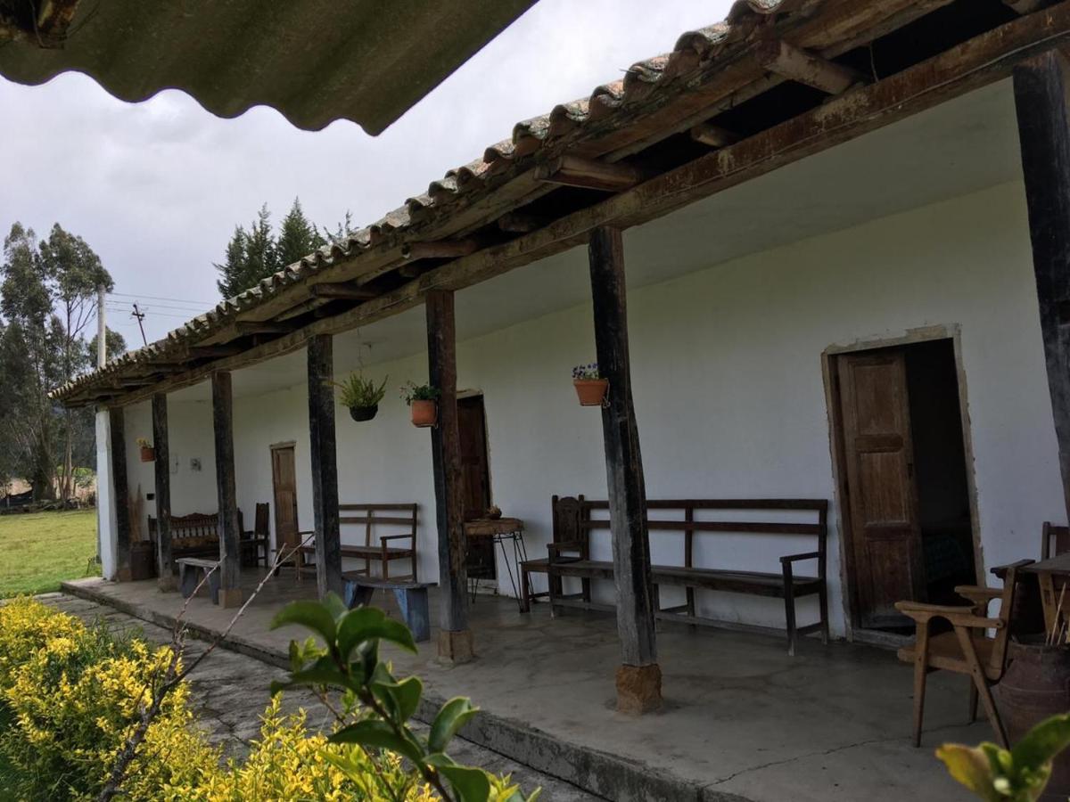 outdoor BBQ area