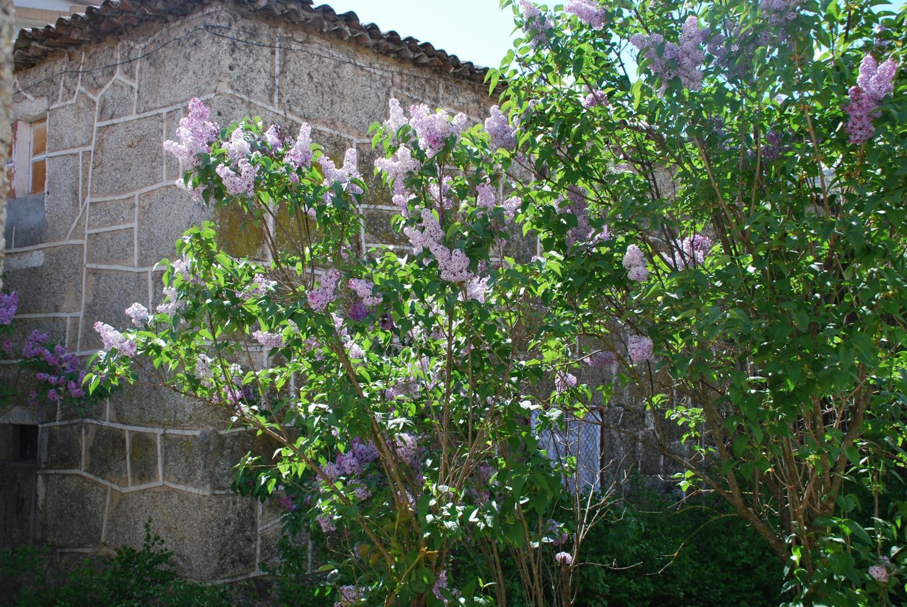Refúgio de Calheiros view 5
