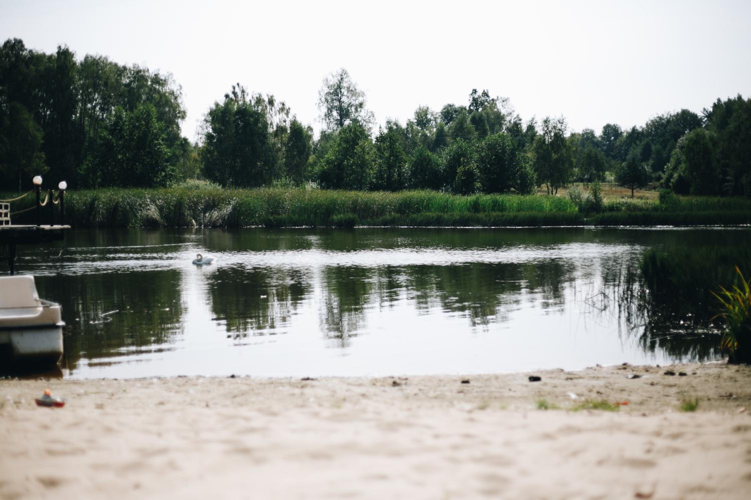 Photo 42