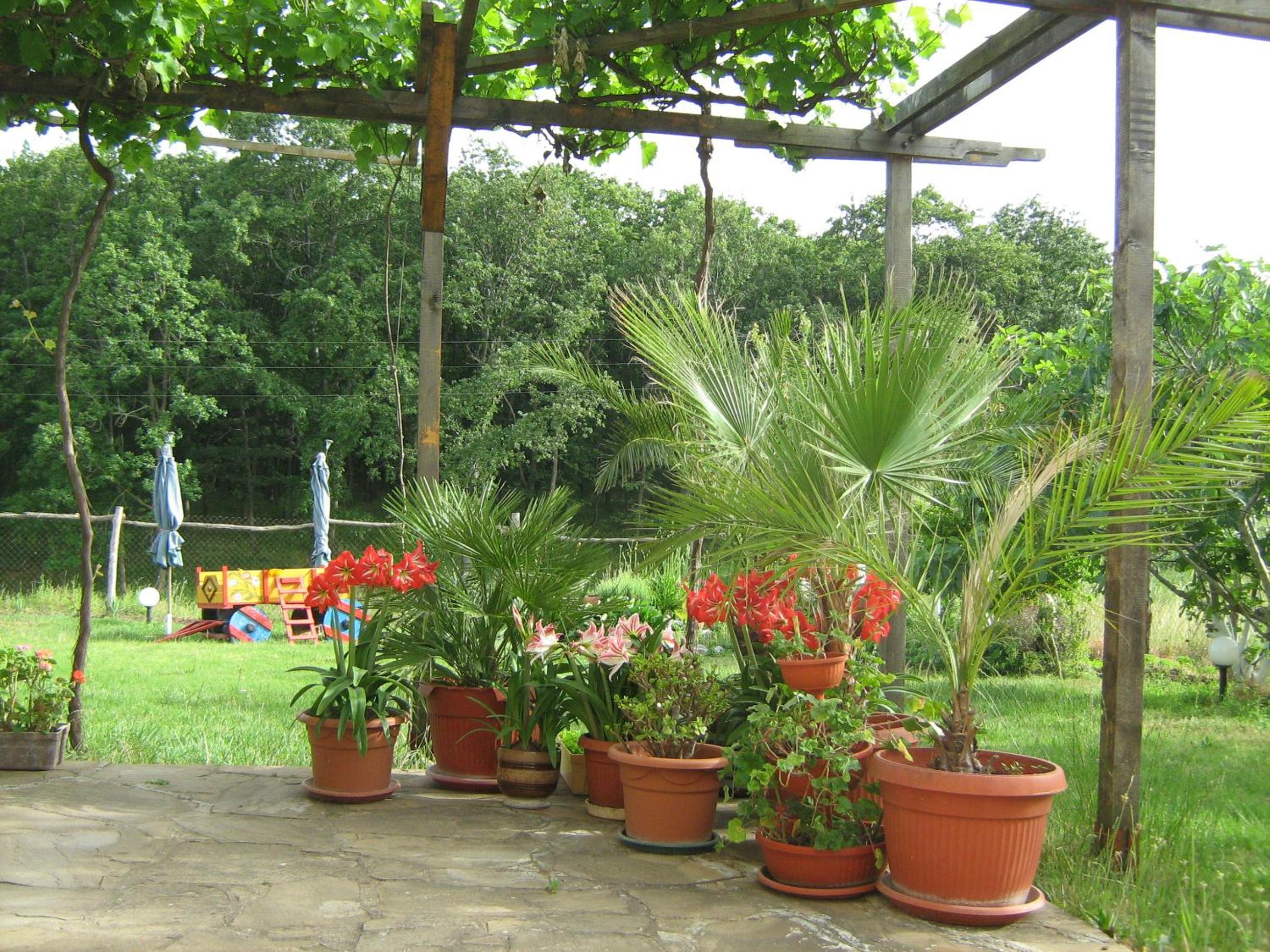 Villa Victoria