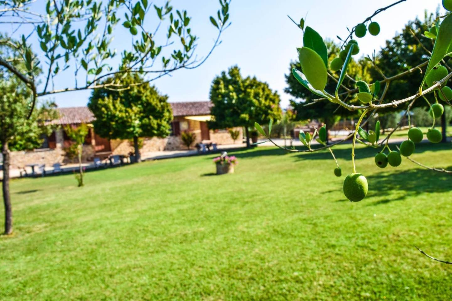 Agriturismo Il Falco view 4