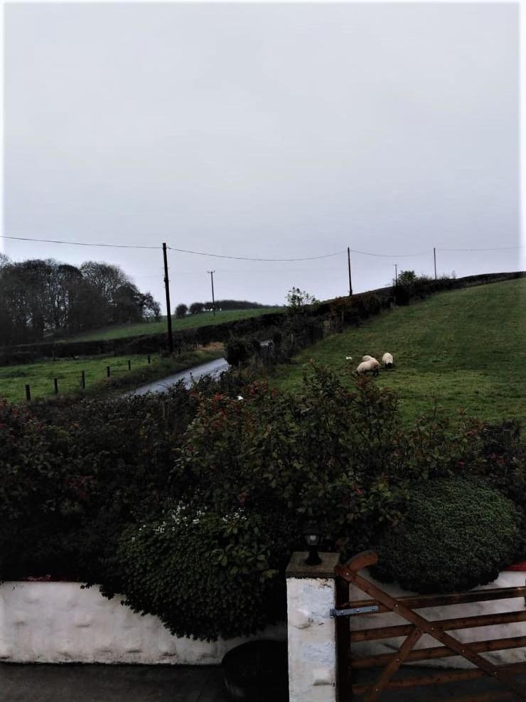 Carnowen Cottage view 4