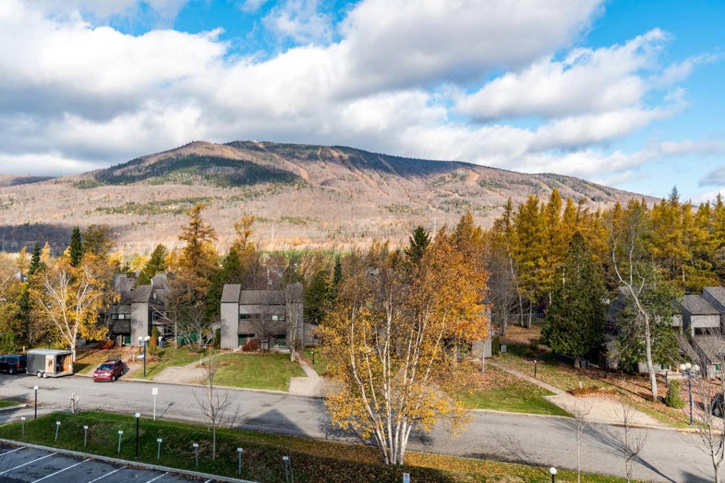INITIAL - L'OURS - Mont-Sainte-Anne