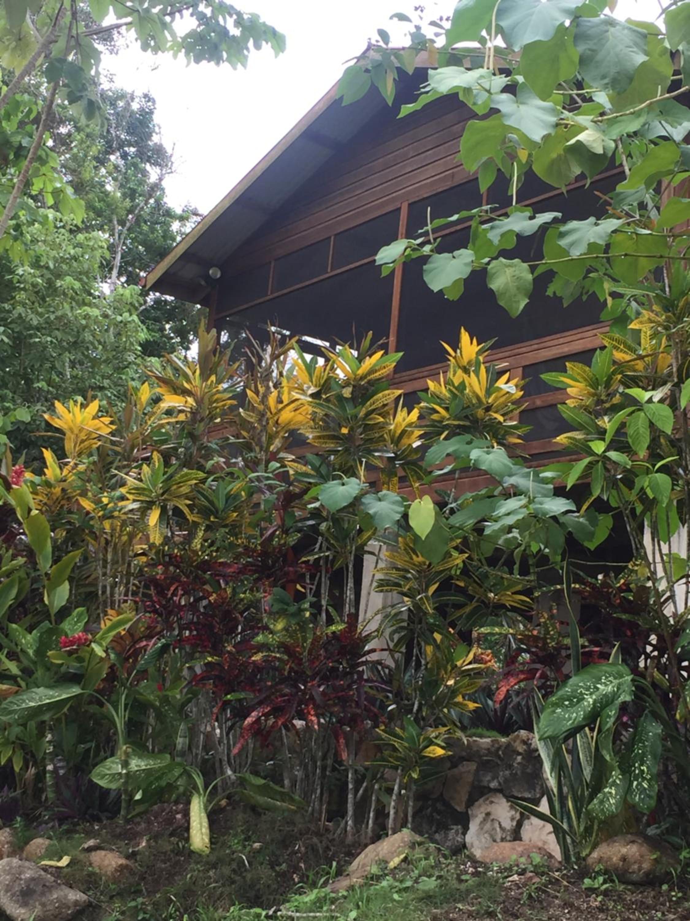 Santa Cruz Cabins