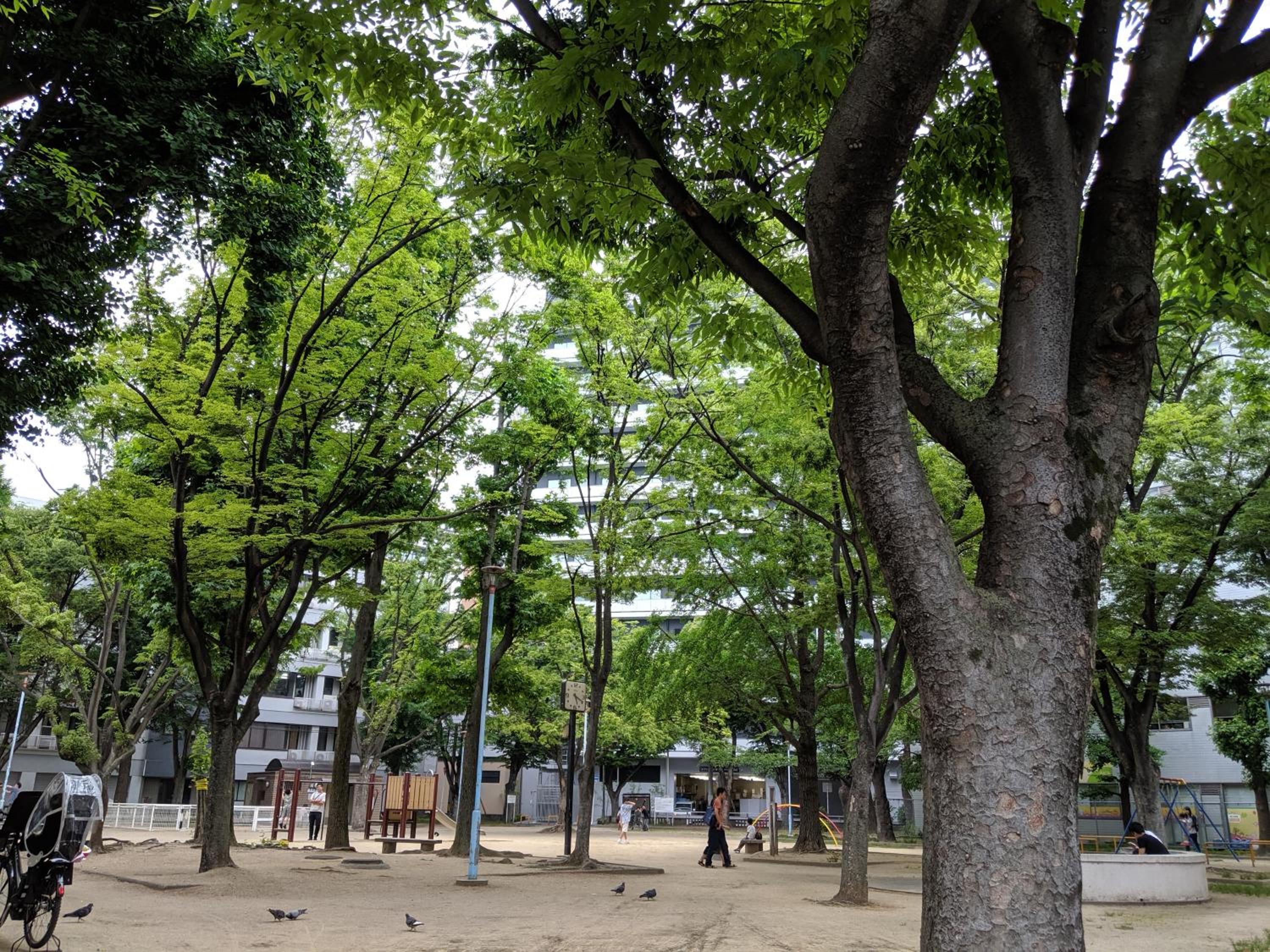roundabout OSAKA