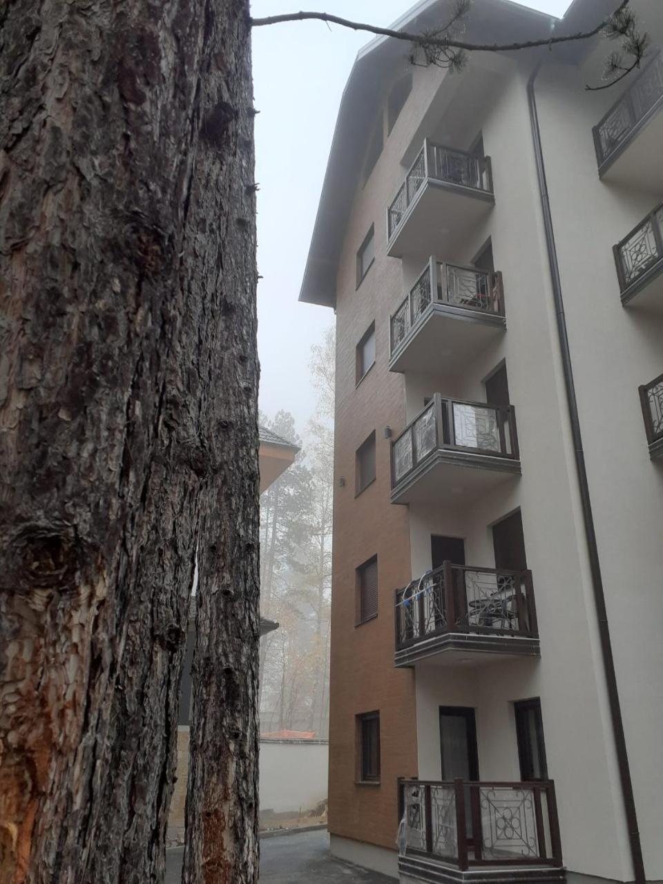 Apartman zlatibor