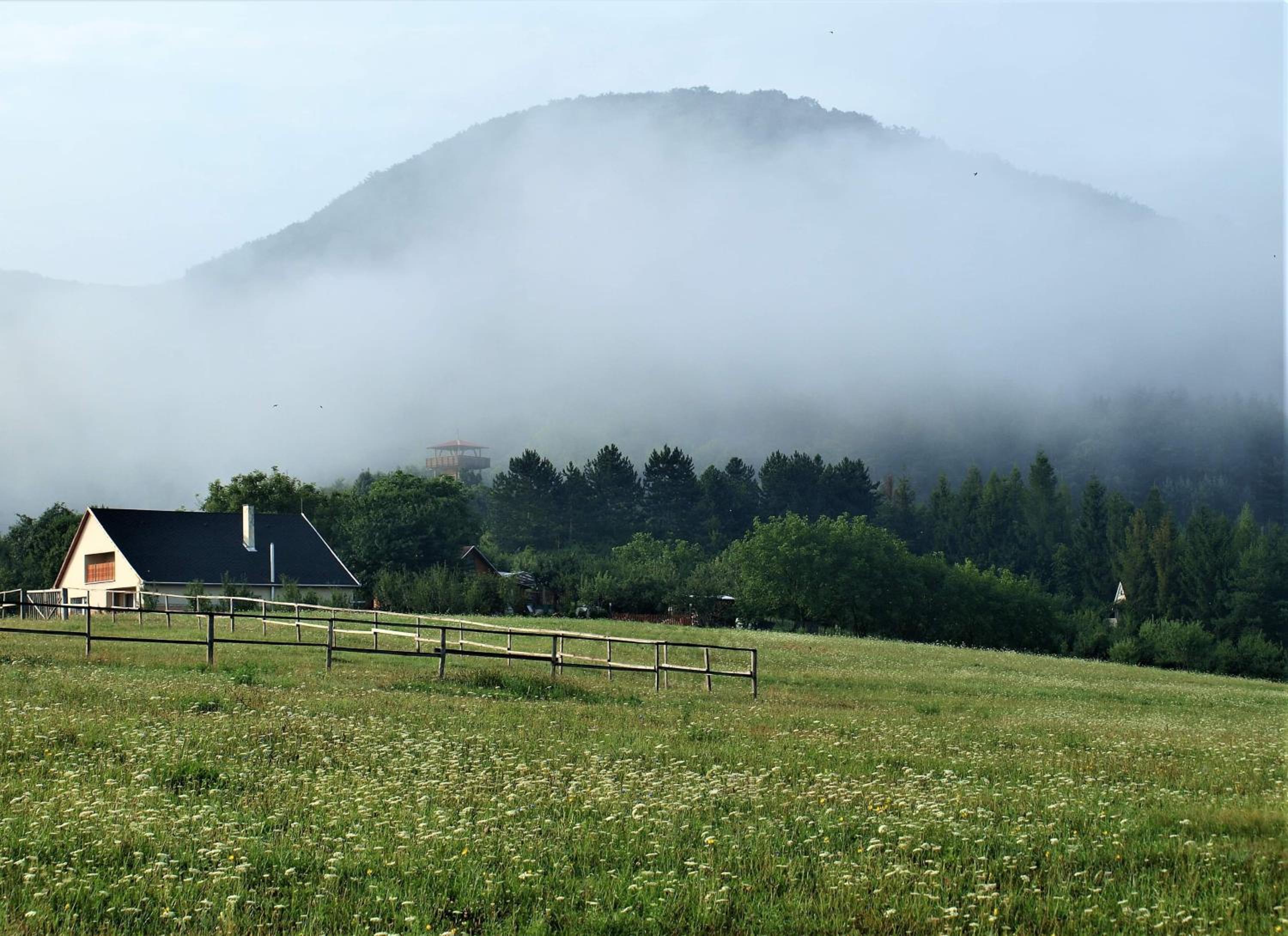 Photo 46