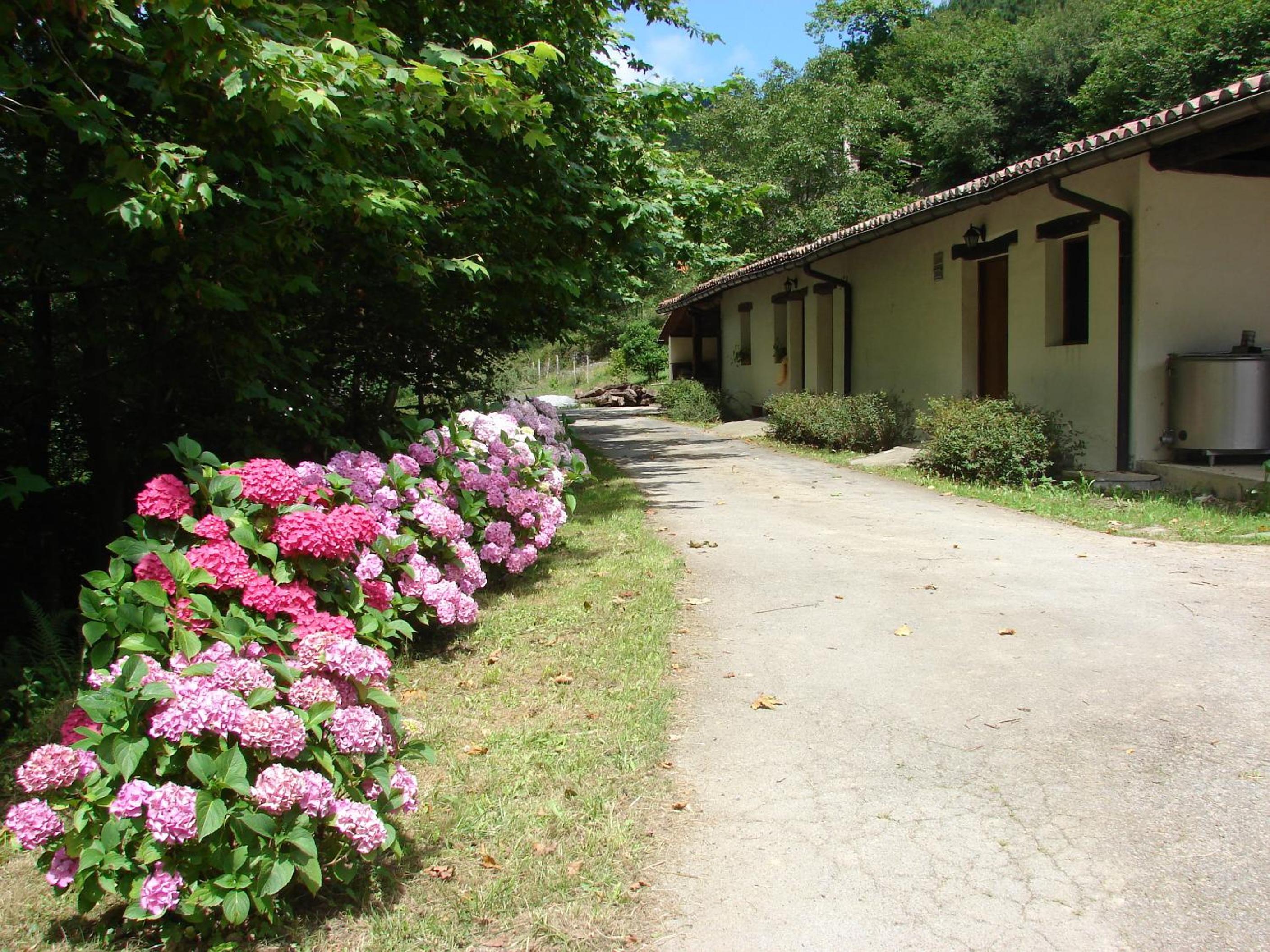 Casa Rural Goikola view 5