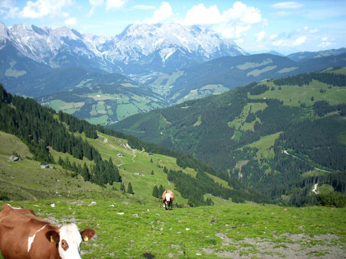 Viehhofbauer