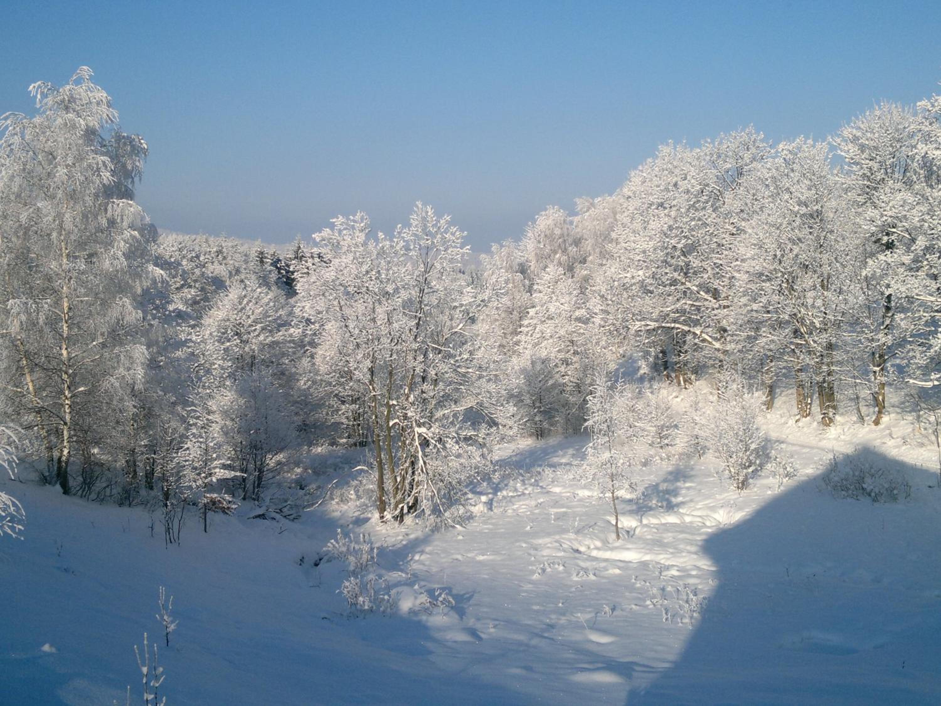 SIELANKA, photo 32