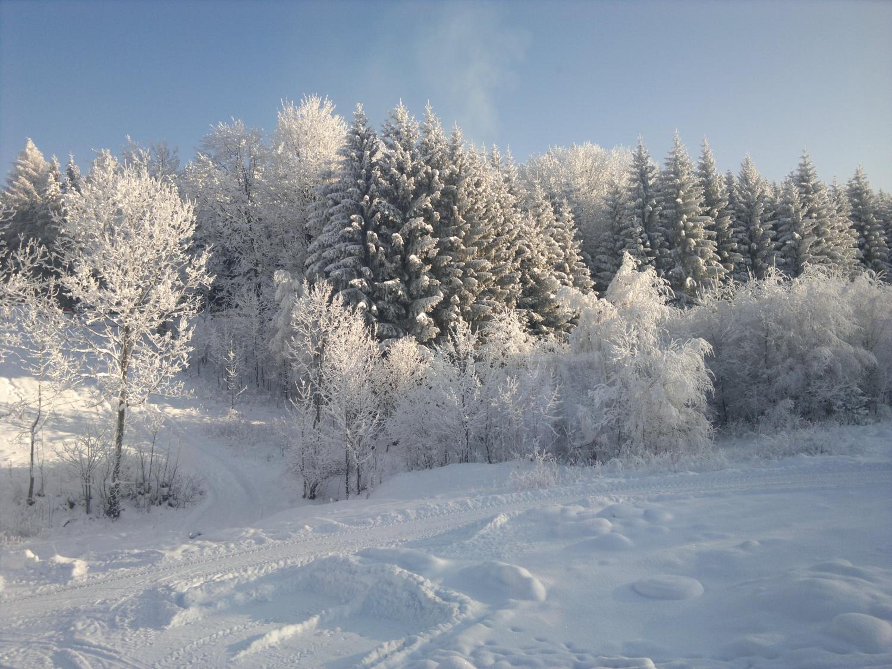 SIELANKA, photo 25