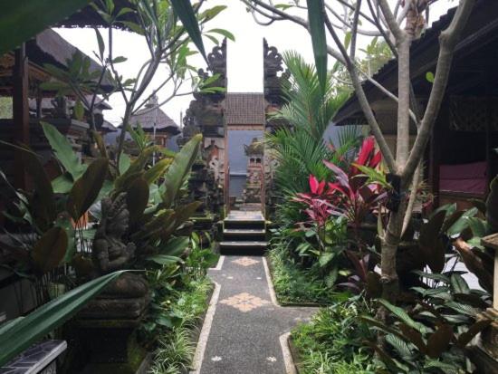Dewi Antara Homestay view 3