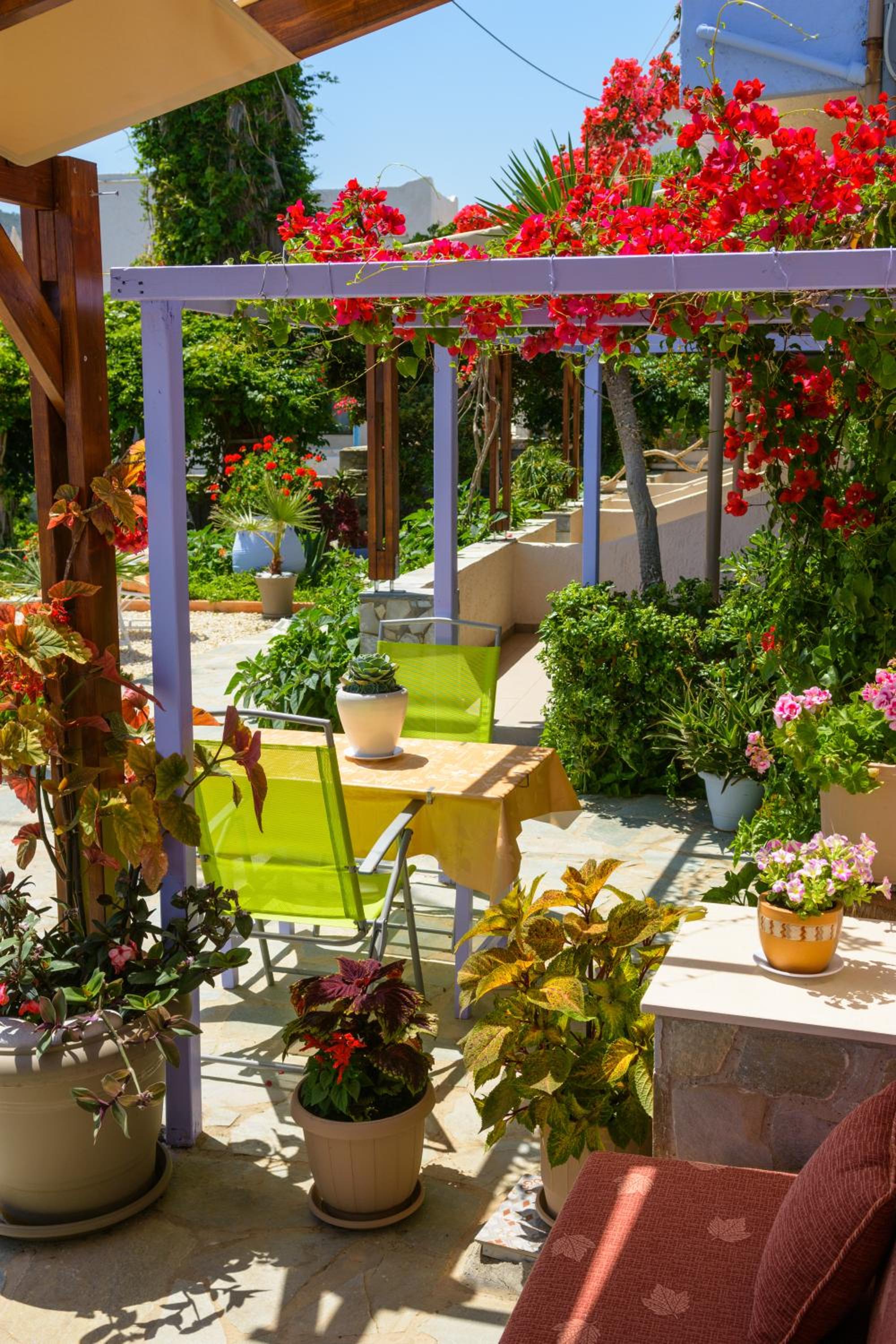 balance & terrace