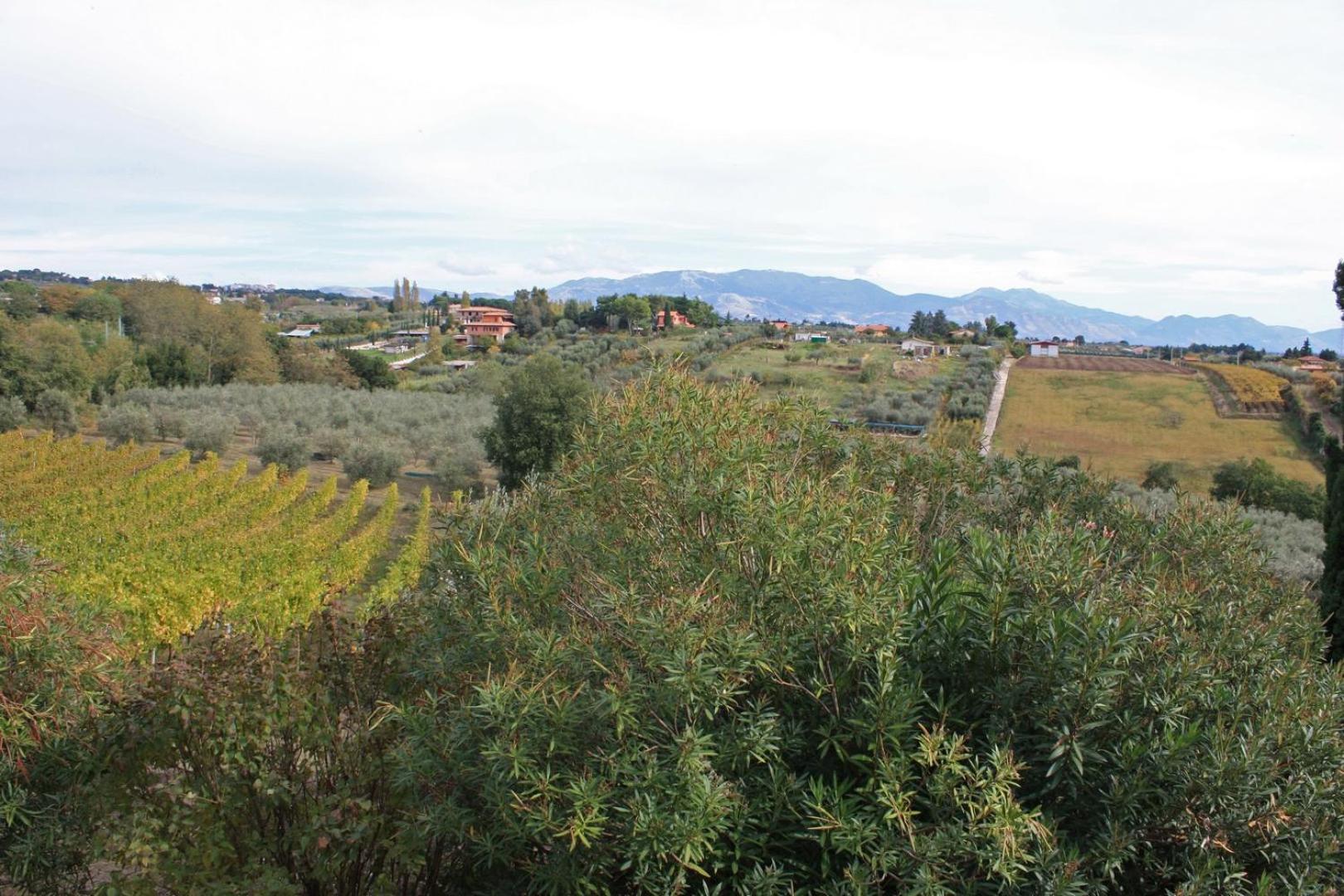 Photo 45