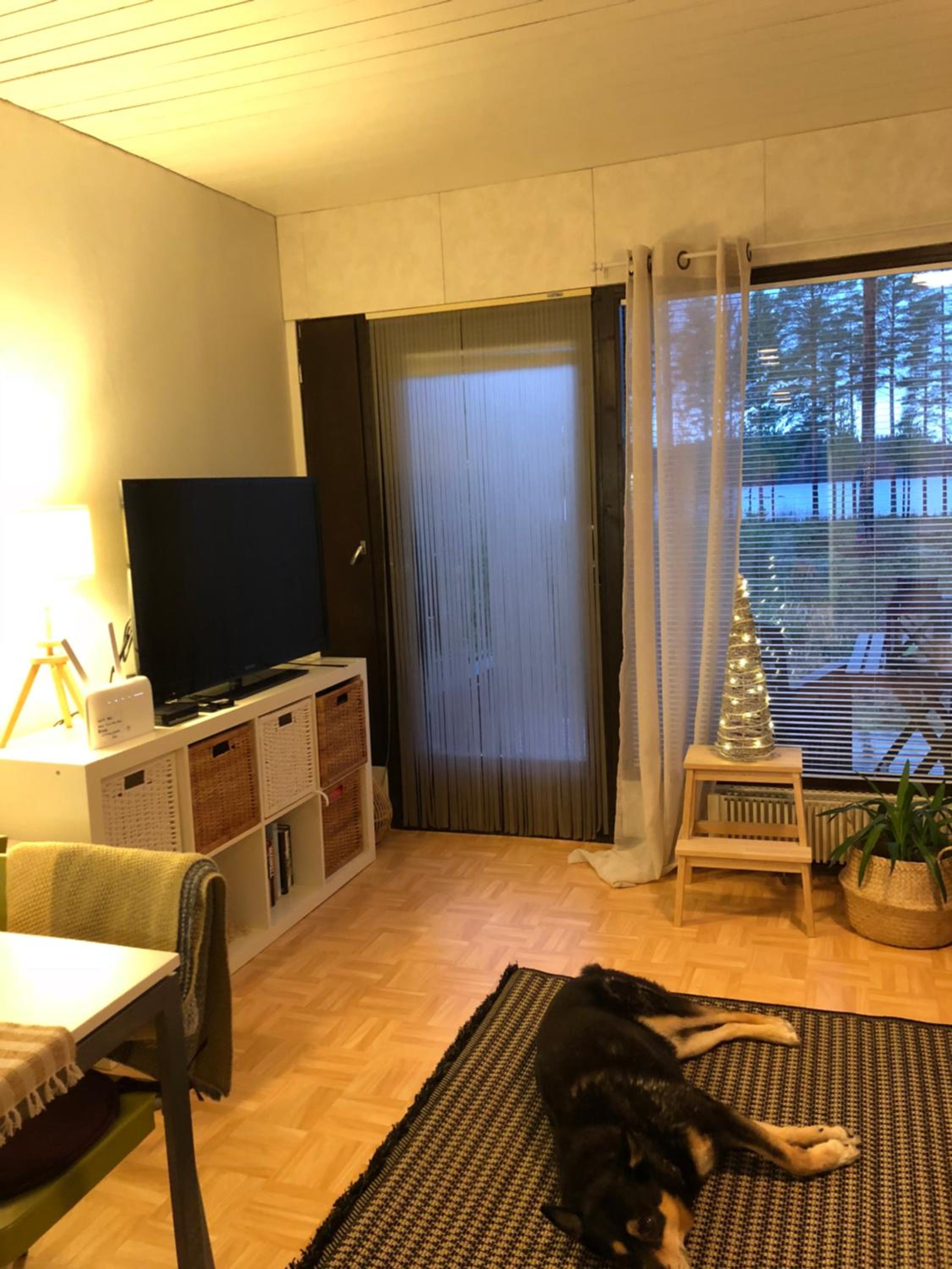 Joutiaisentie I 55 Forest apartment view 4