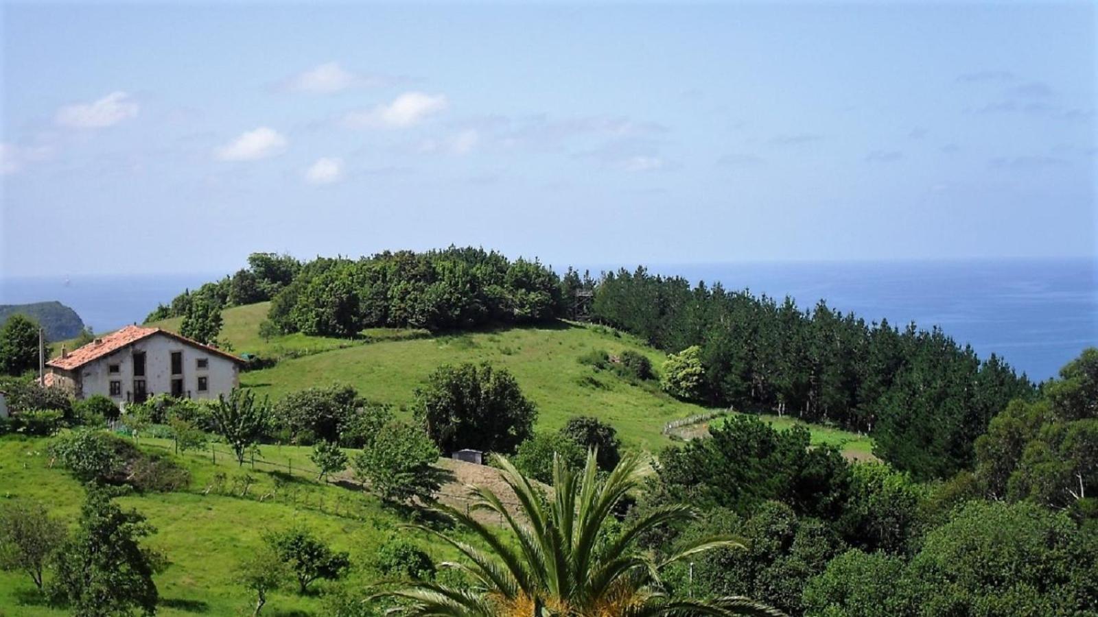 Casa Rural Arboliz