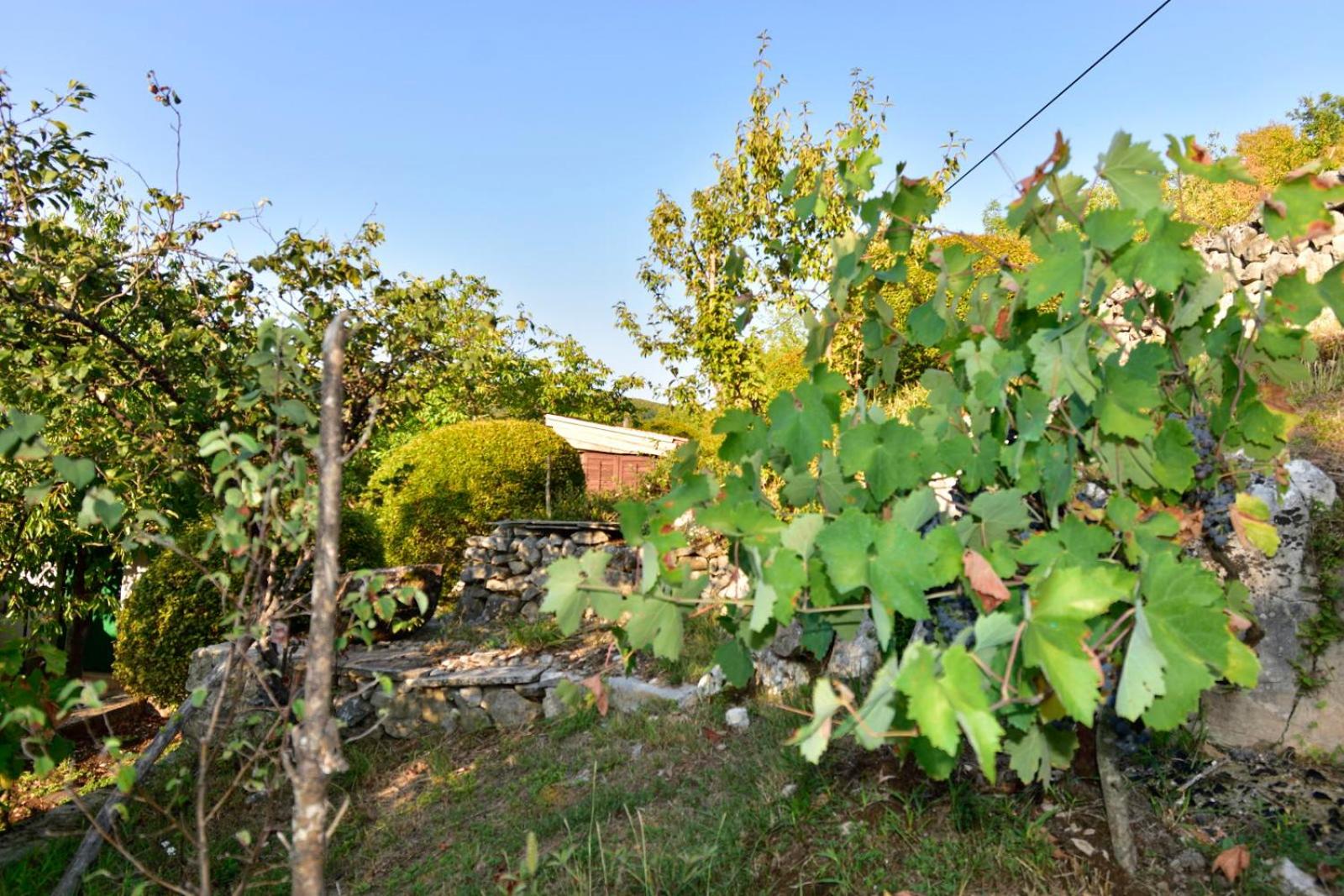 Photo 29