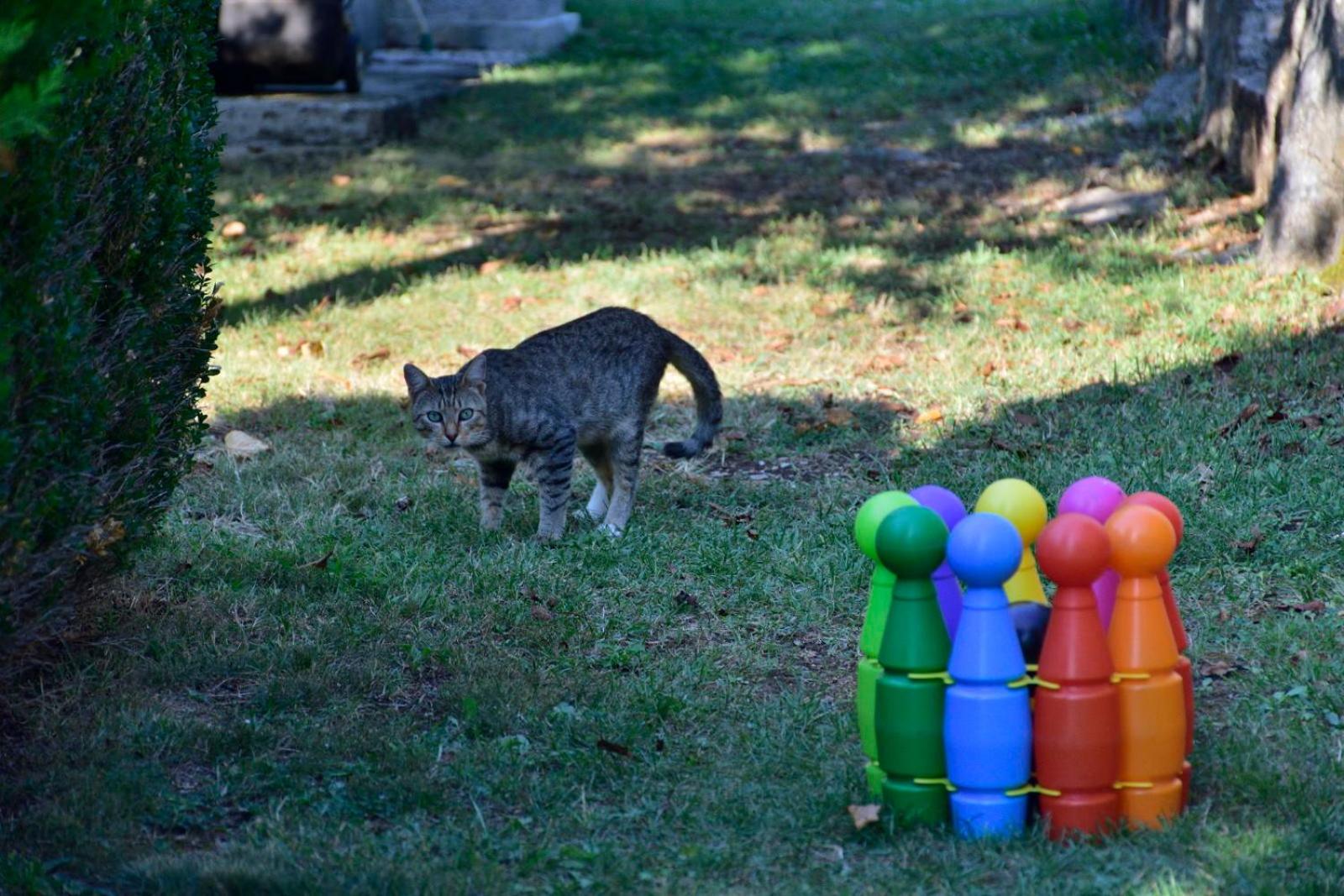 Photo 40