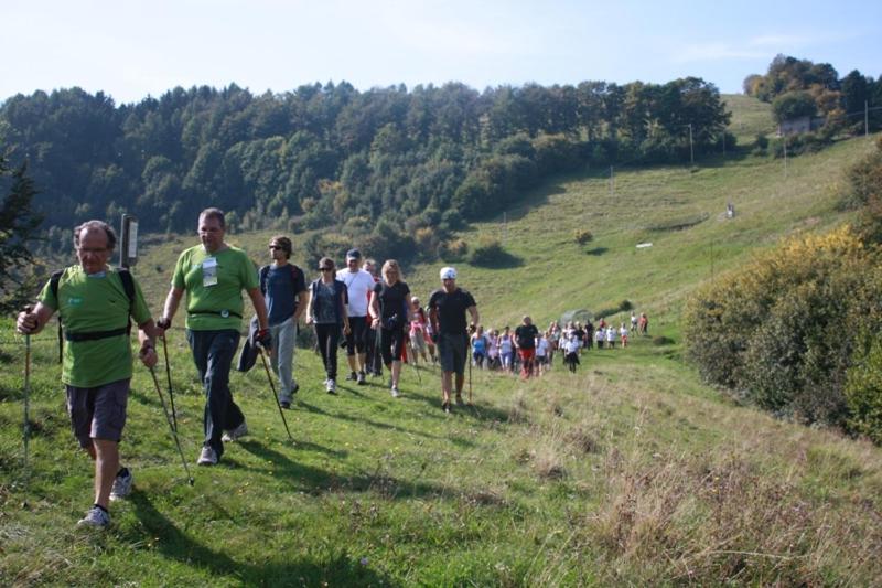 Montegrappa Dream view 5