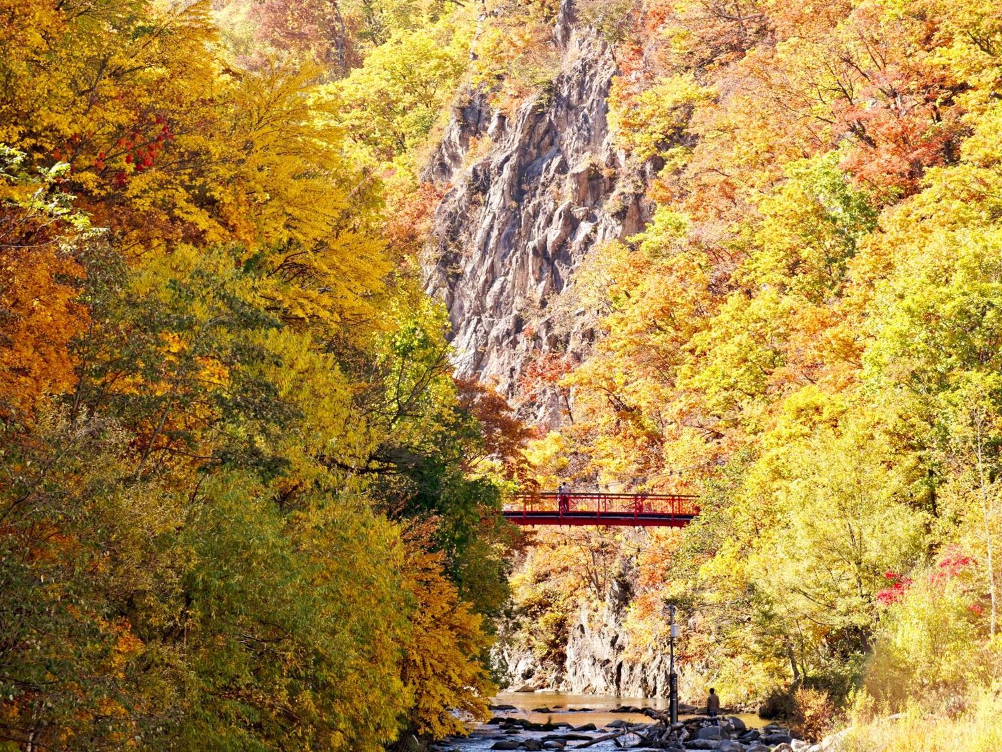 HanaMOMIJI