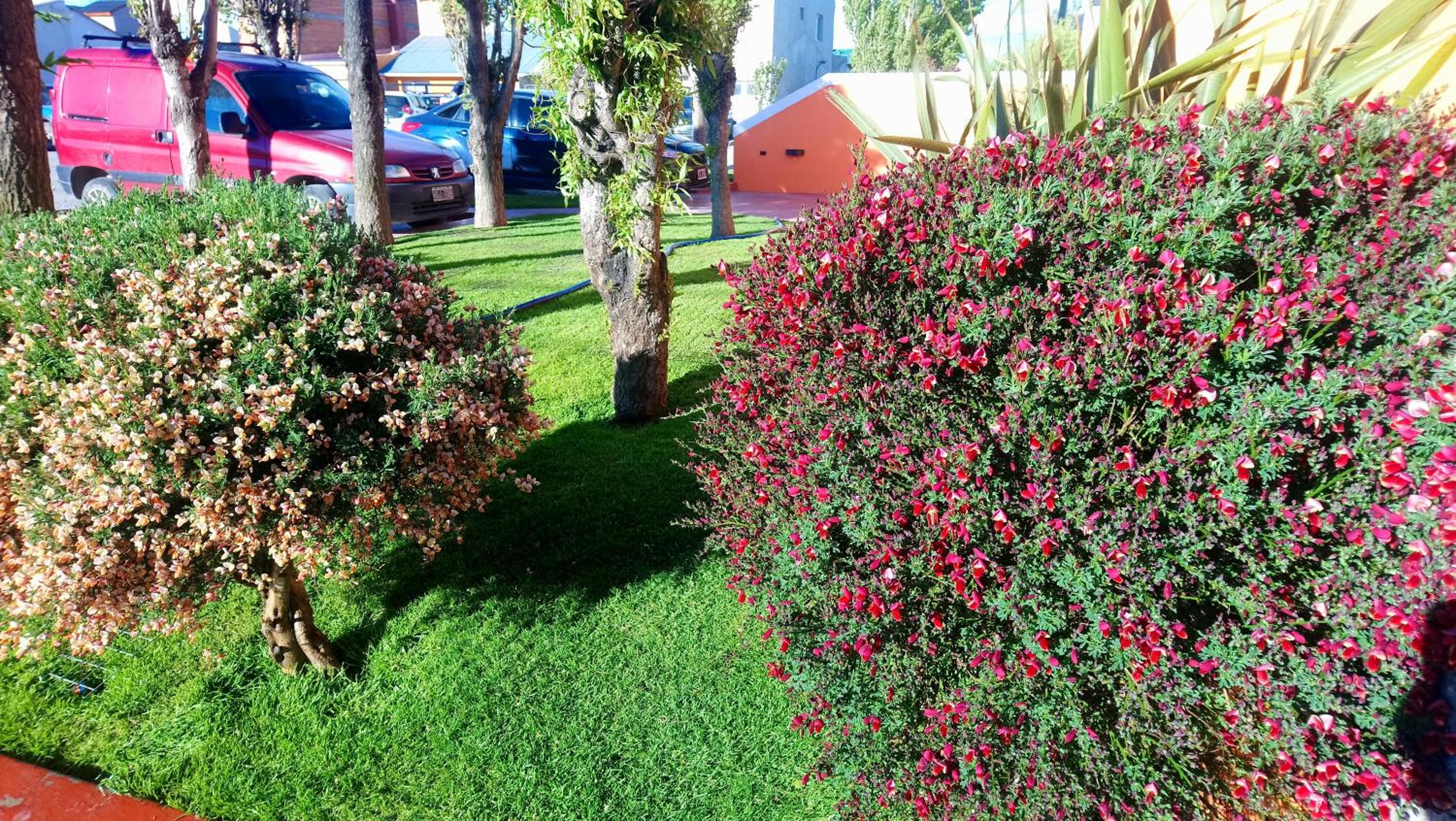 El Buen Descanso