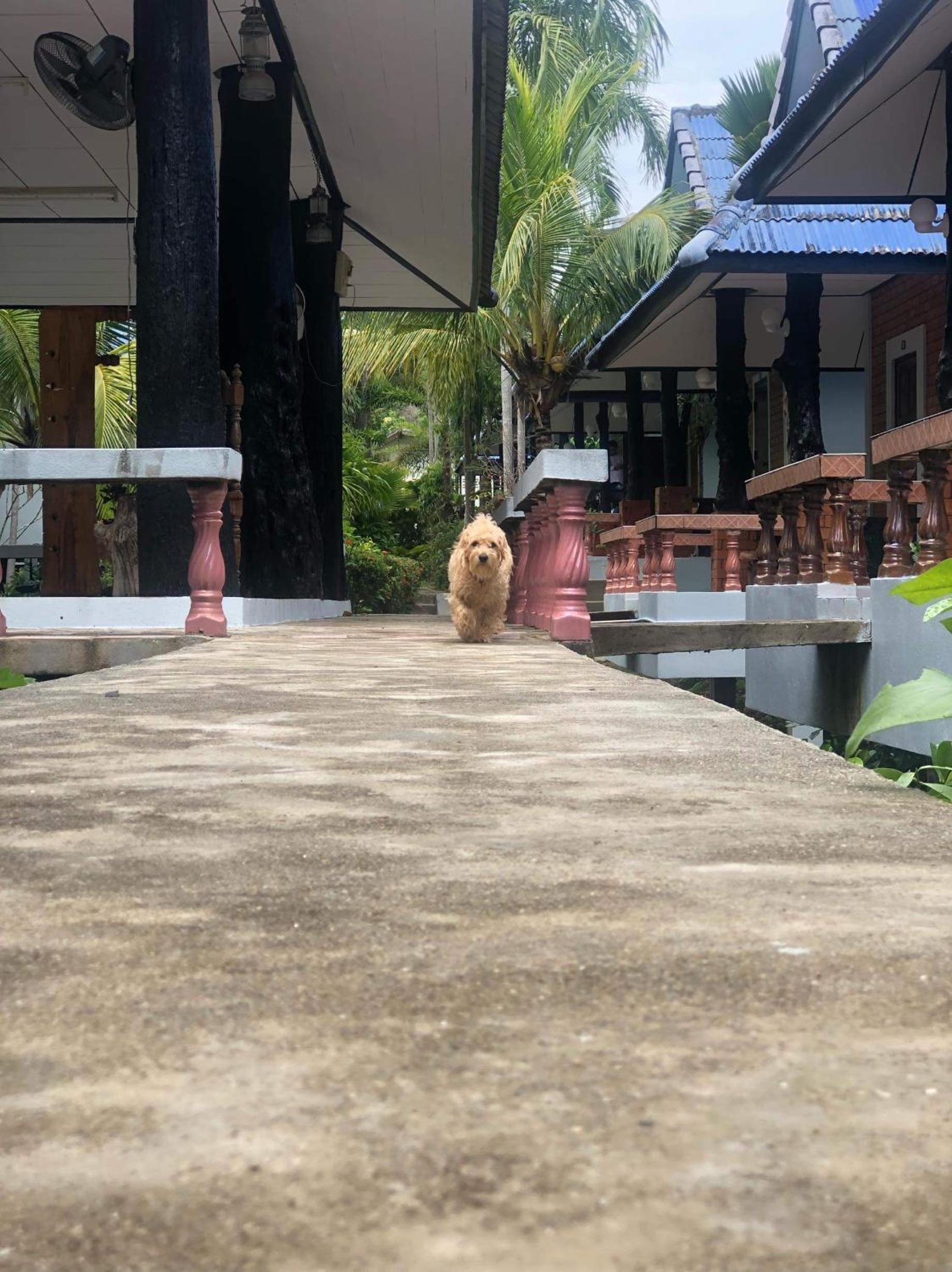 Lovely Lanta Resort