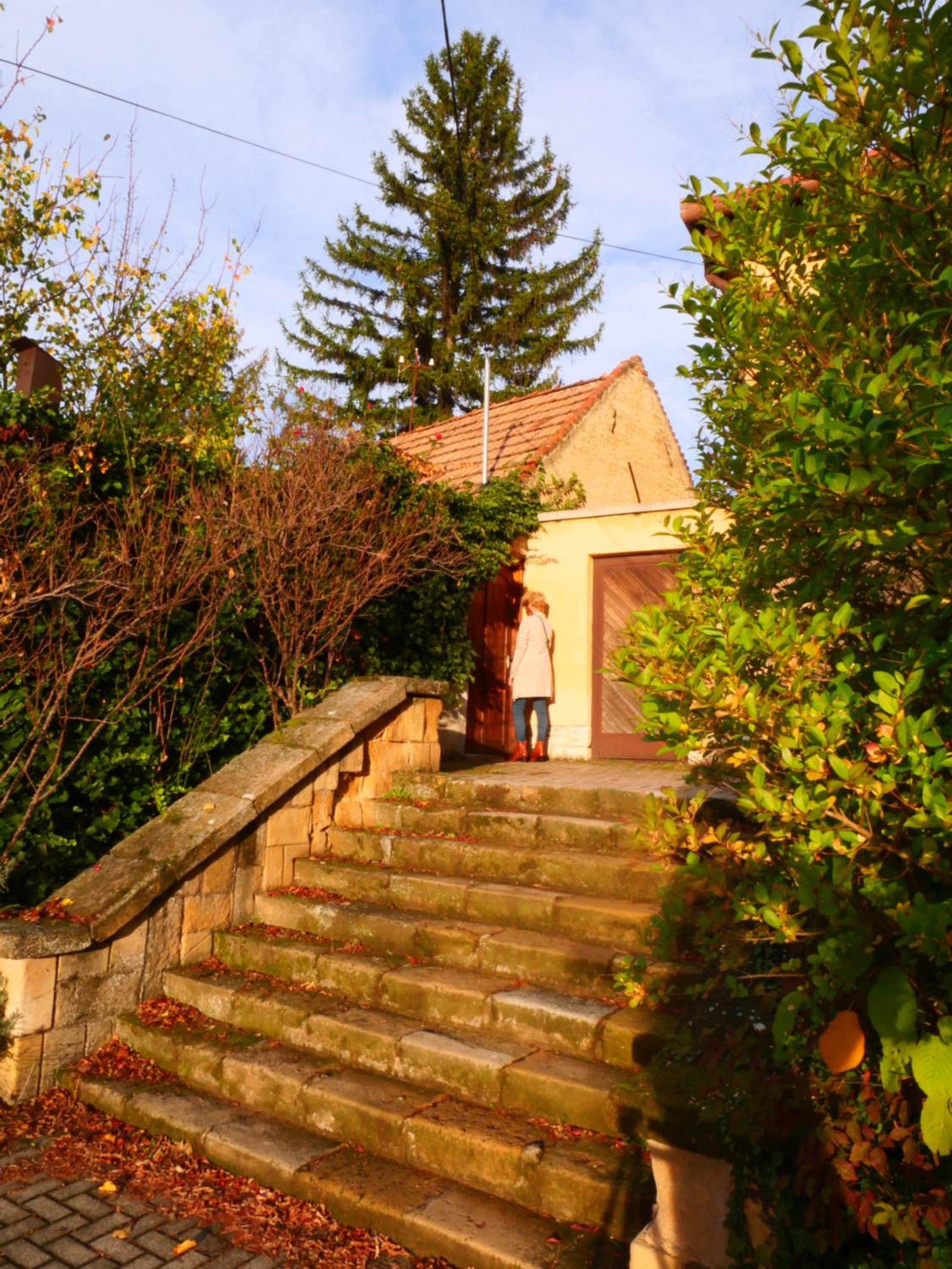 Photo 40