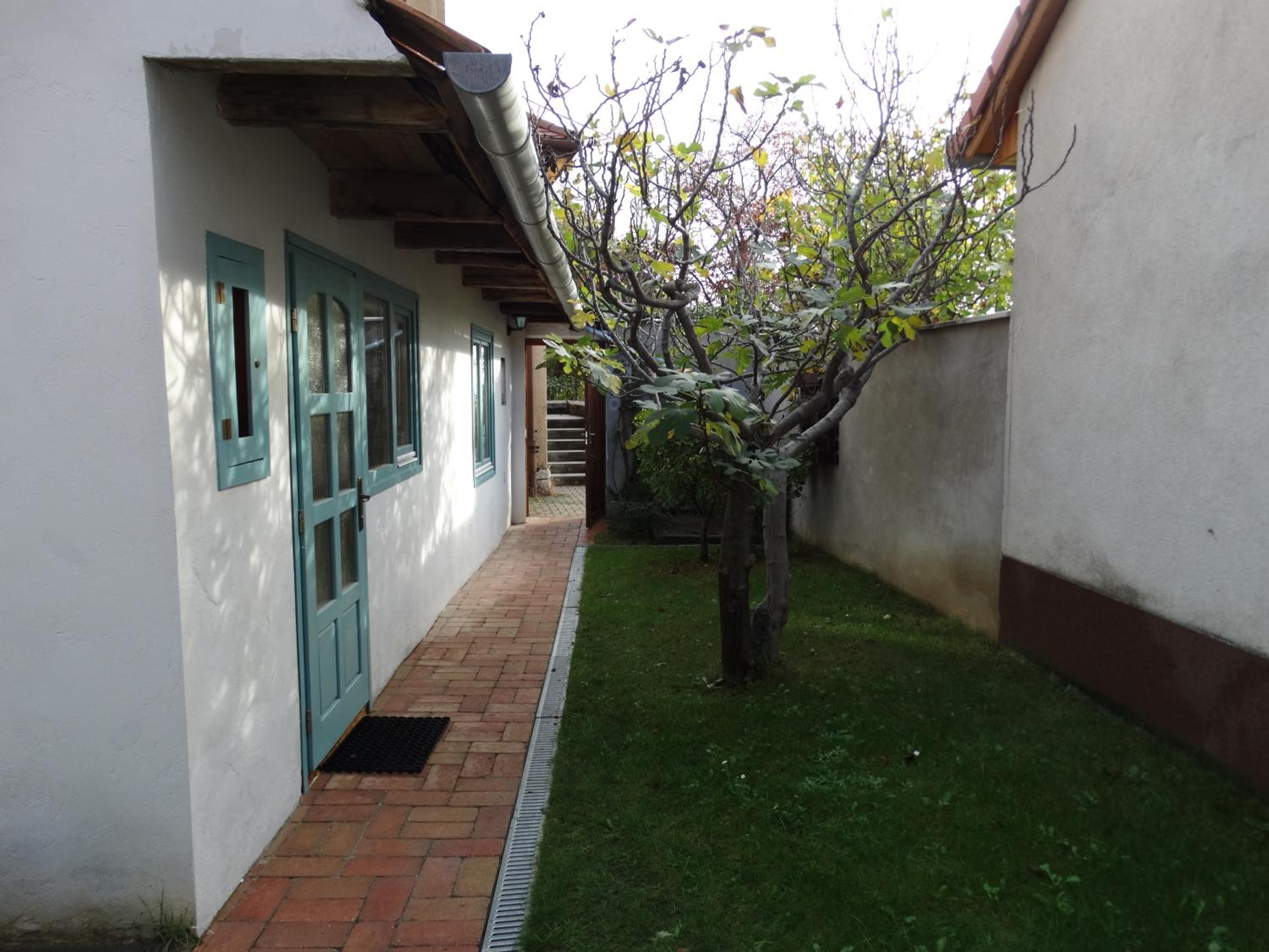 Photo 44