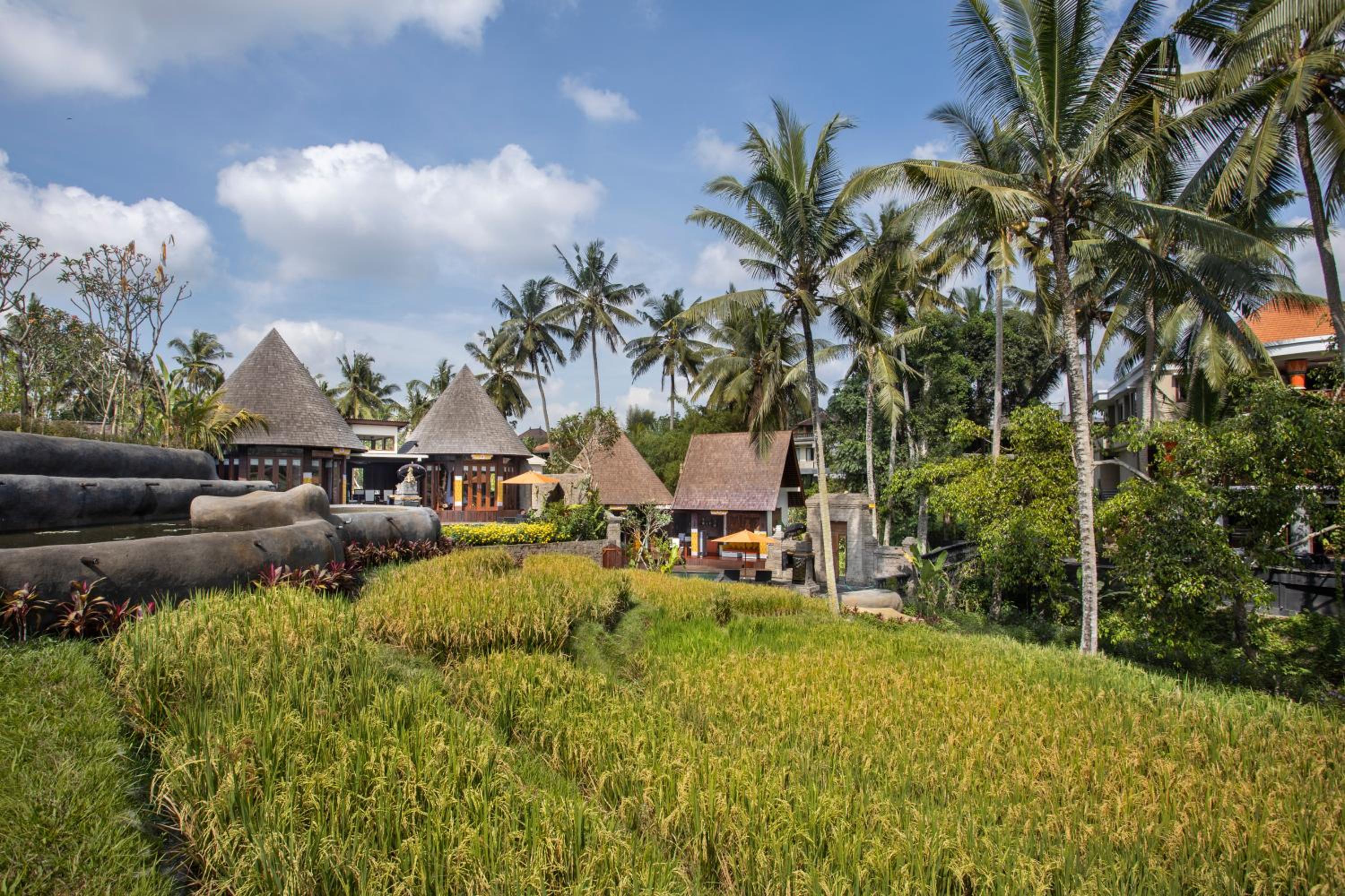 Hotel Green Field Resort Ubud - Image 1