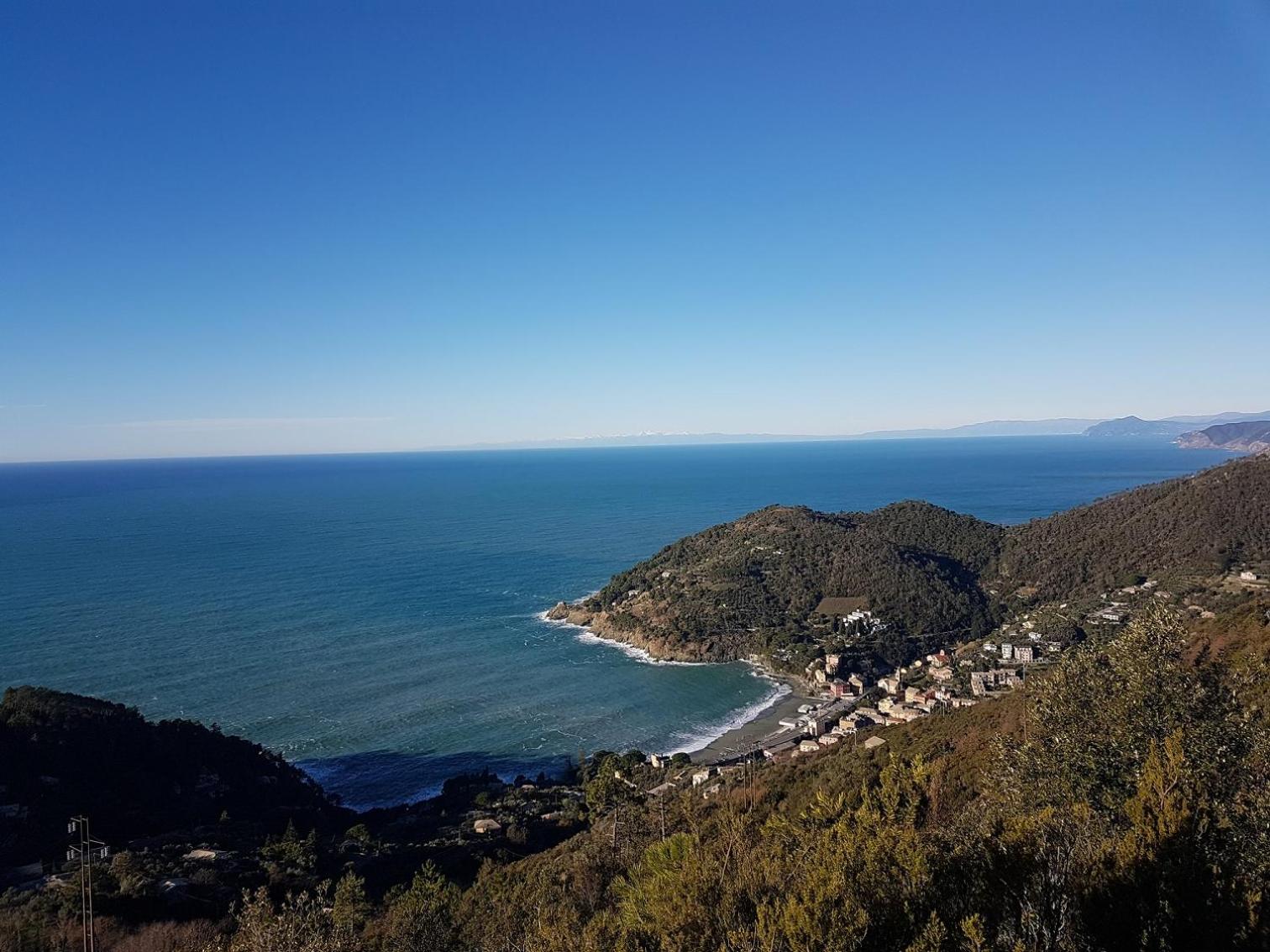 Case vacanza Reggimonti Cinque Terre view 4