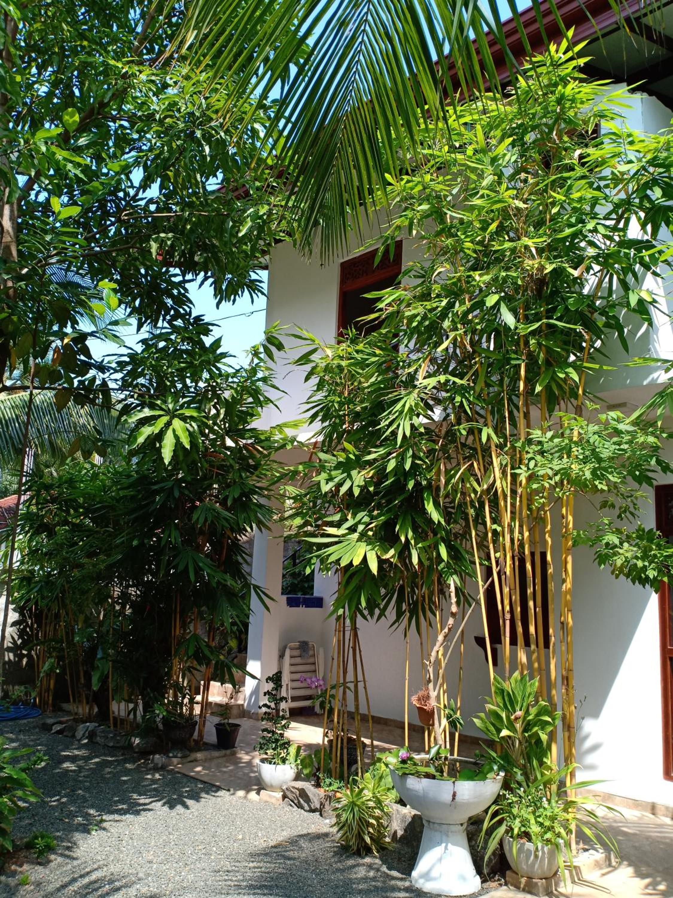 Arunod Villa view 2