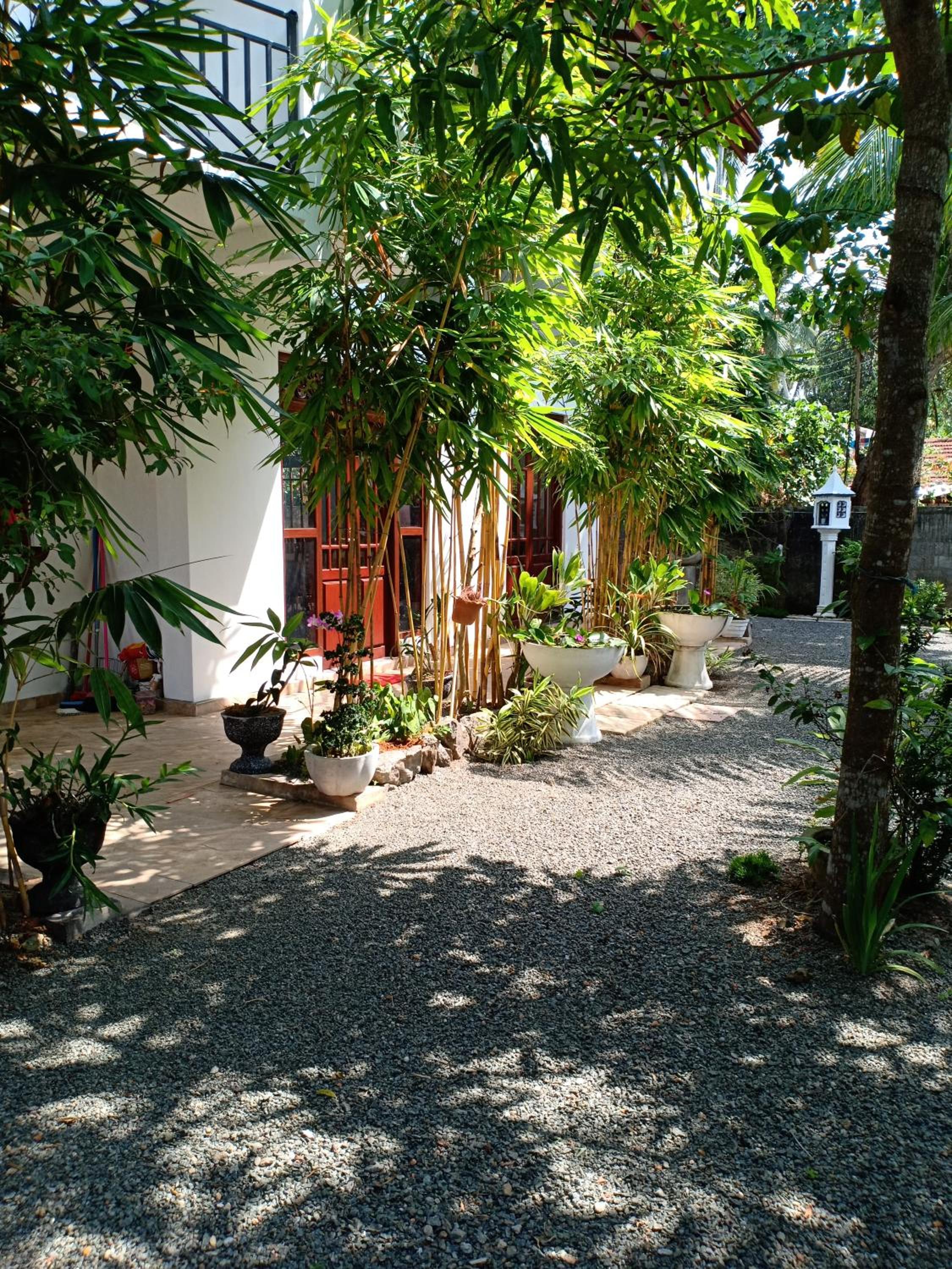 Arunod Villa view 5