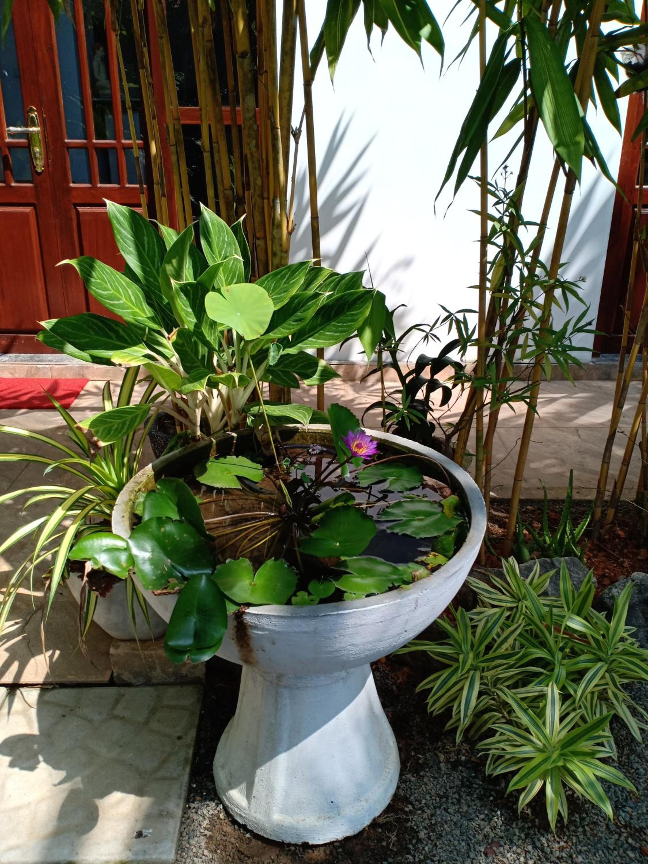 Photo 18