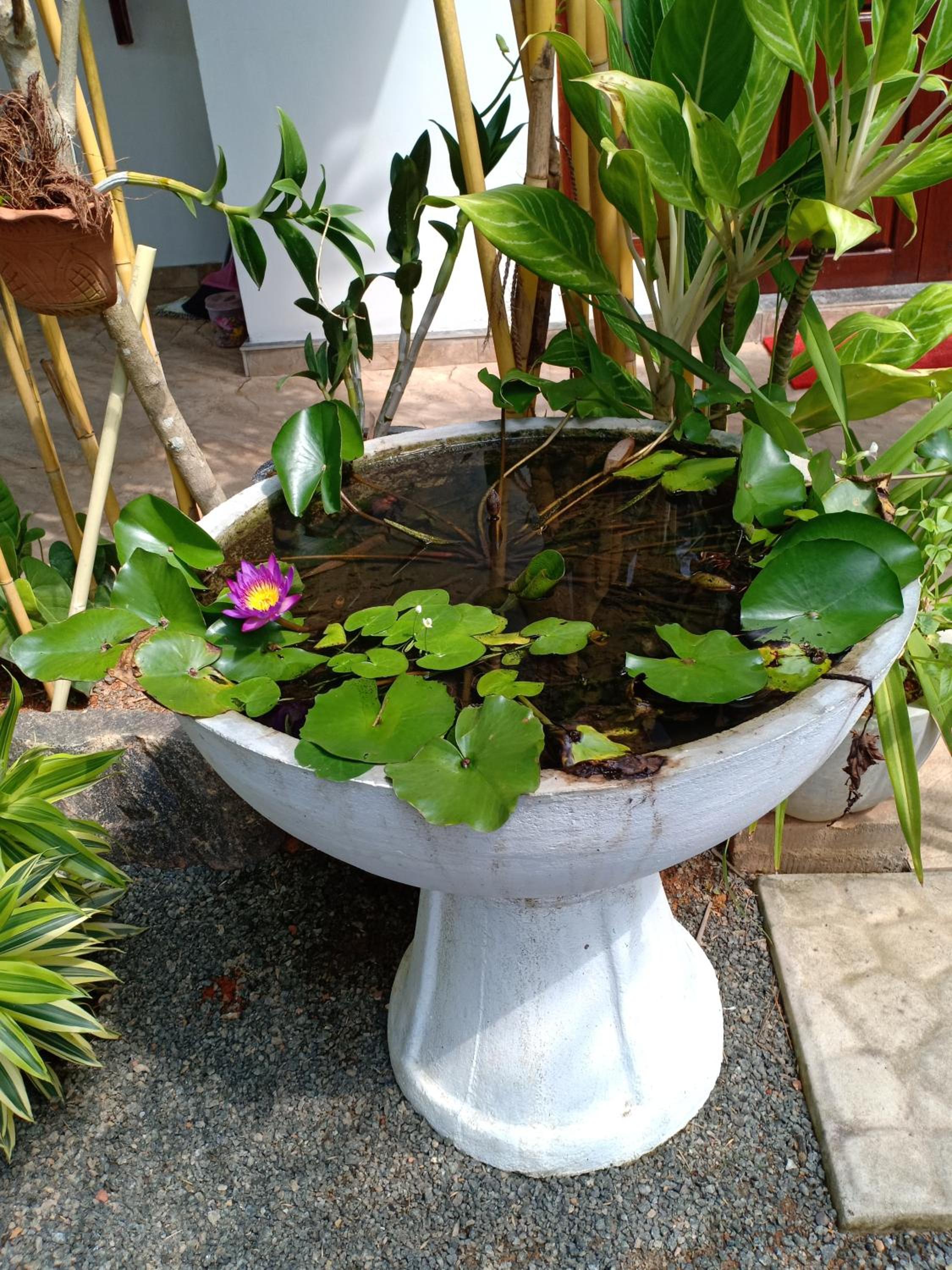 Photo 25