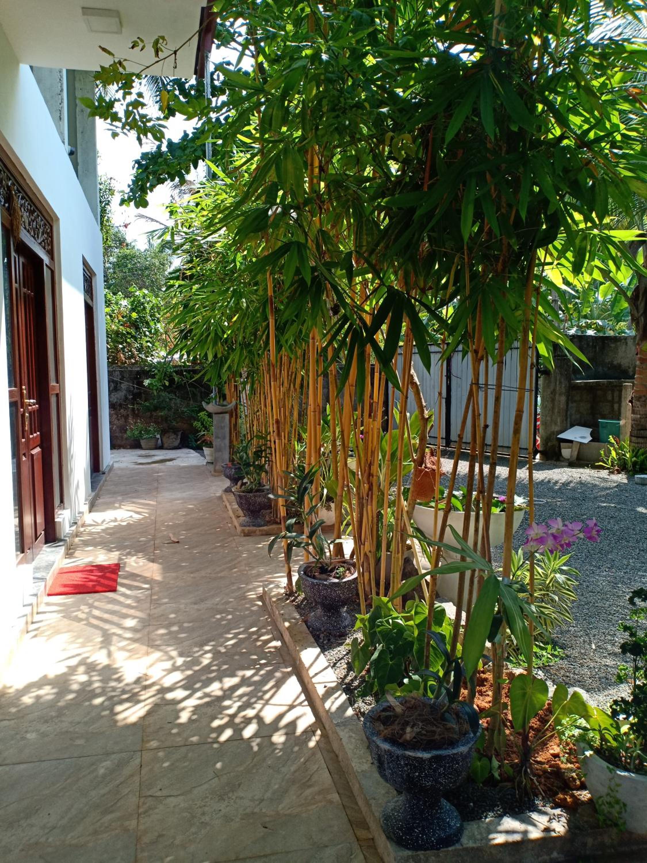 Photo 26