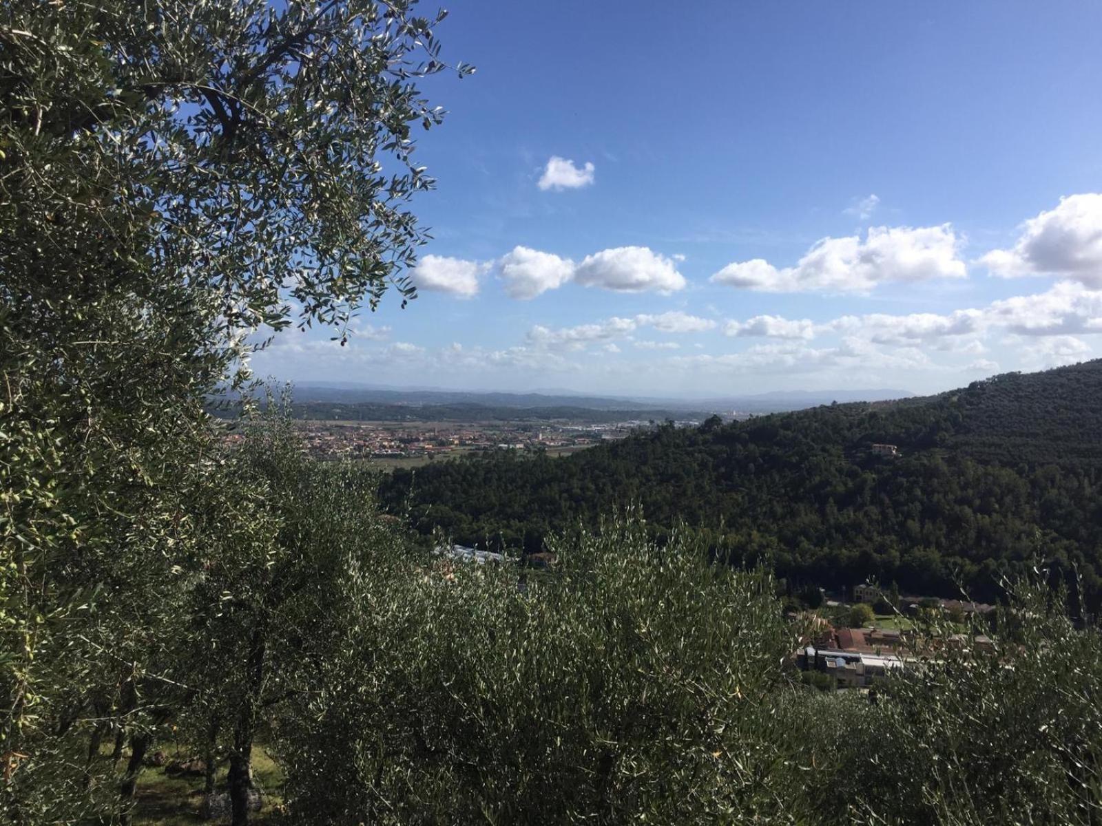 Casale l’oliveta photo 4