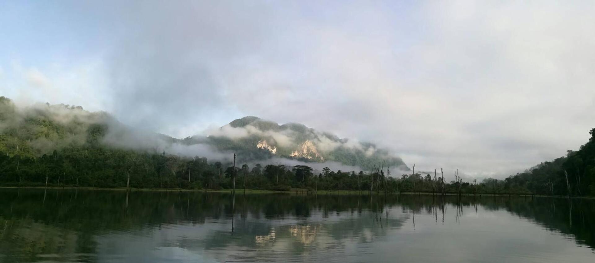 Khao Sok Evergreen House