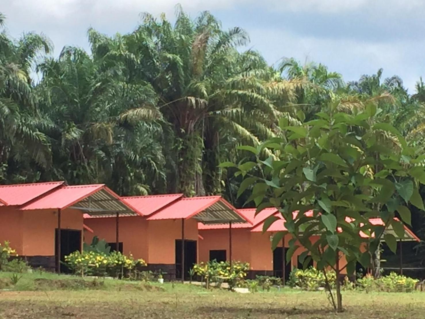 Khao Sok Evergreen House