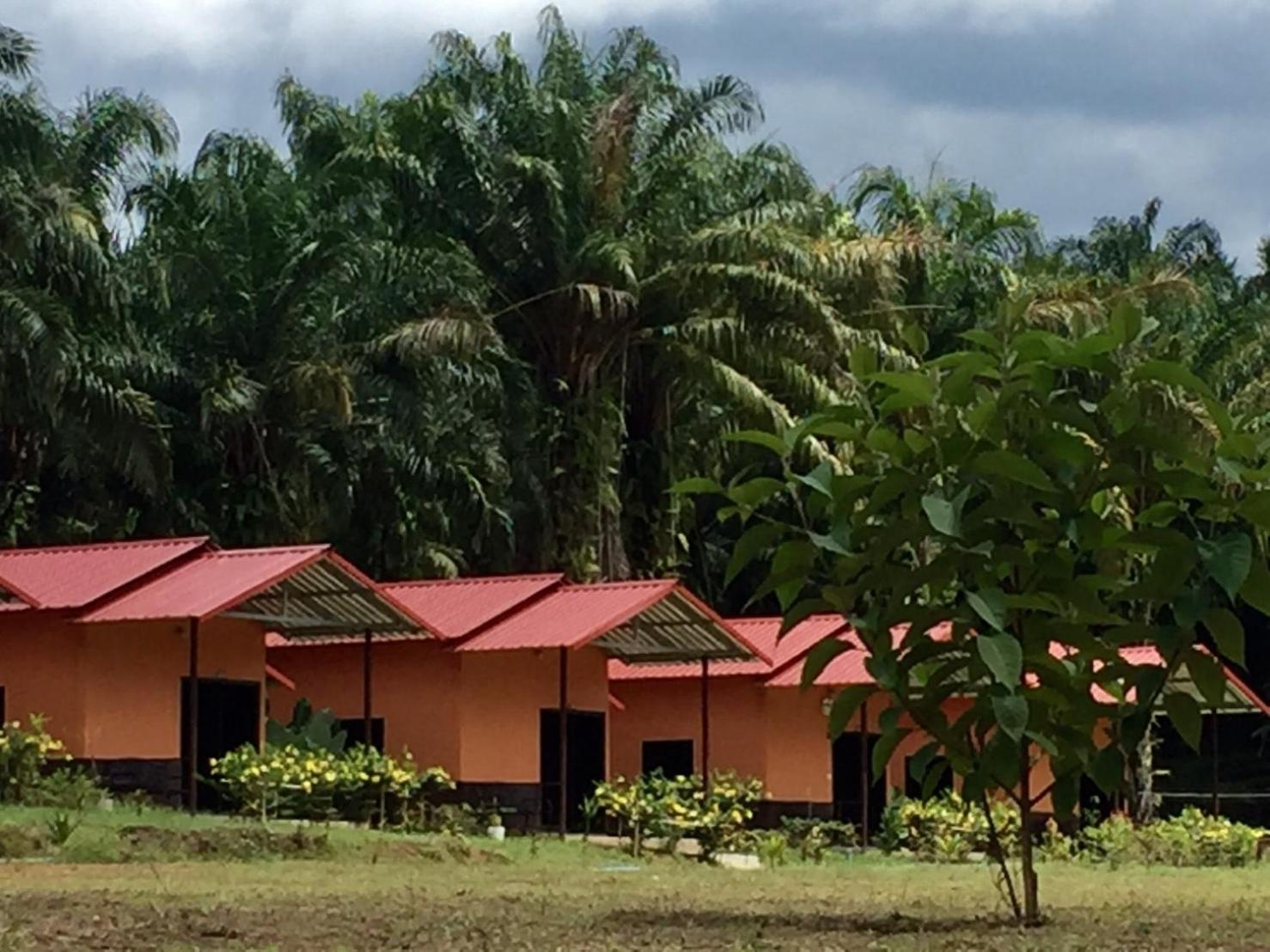 Khao Sok Evergreen House
