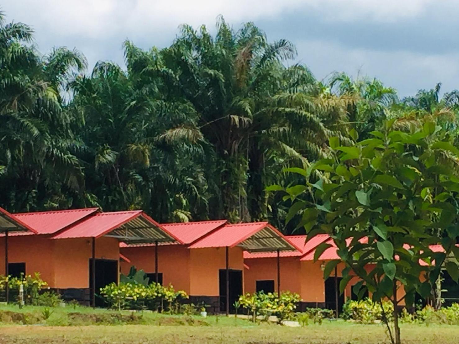 Khao Sok Evergreen House